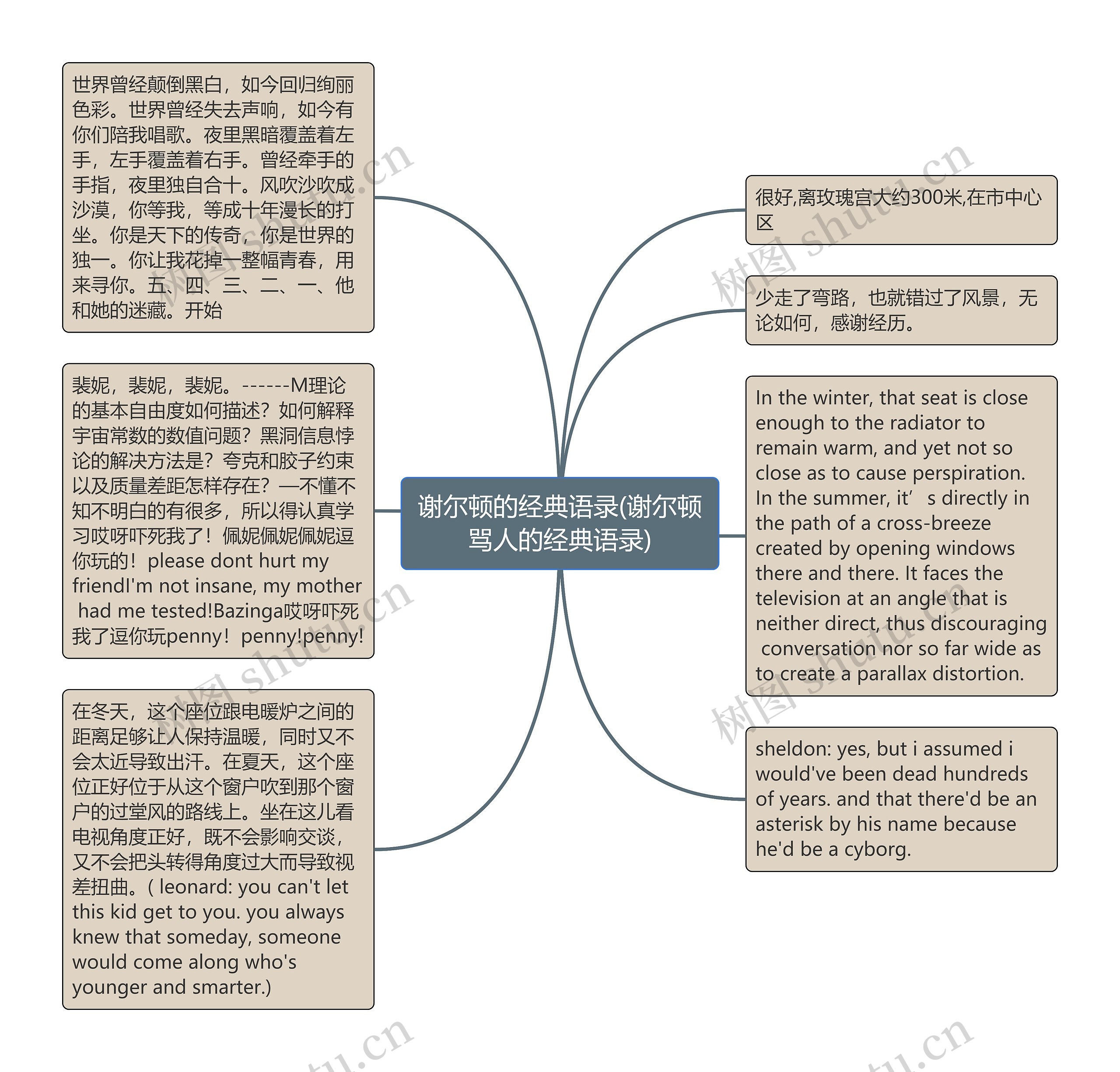 谢尔顿的经典语录(谢尔顿骂人的经典语录)思维导图