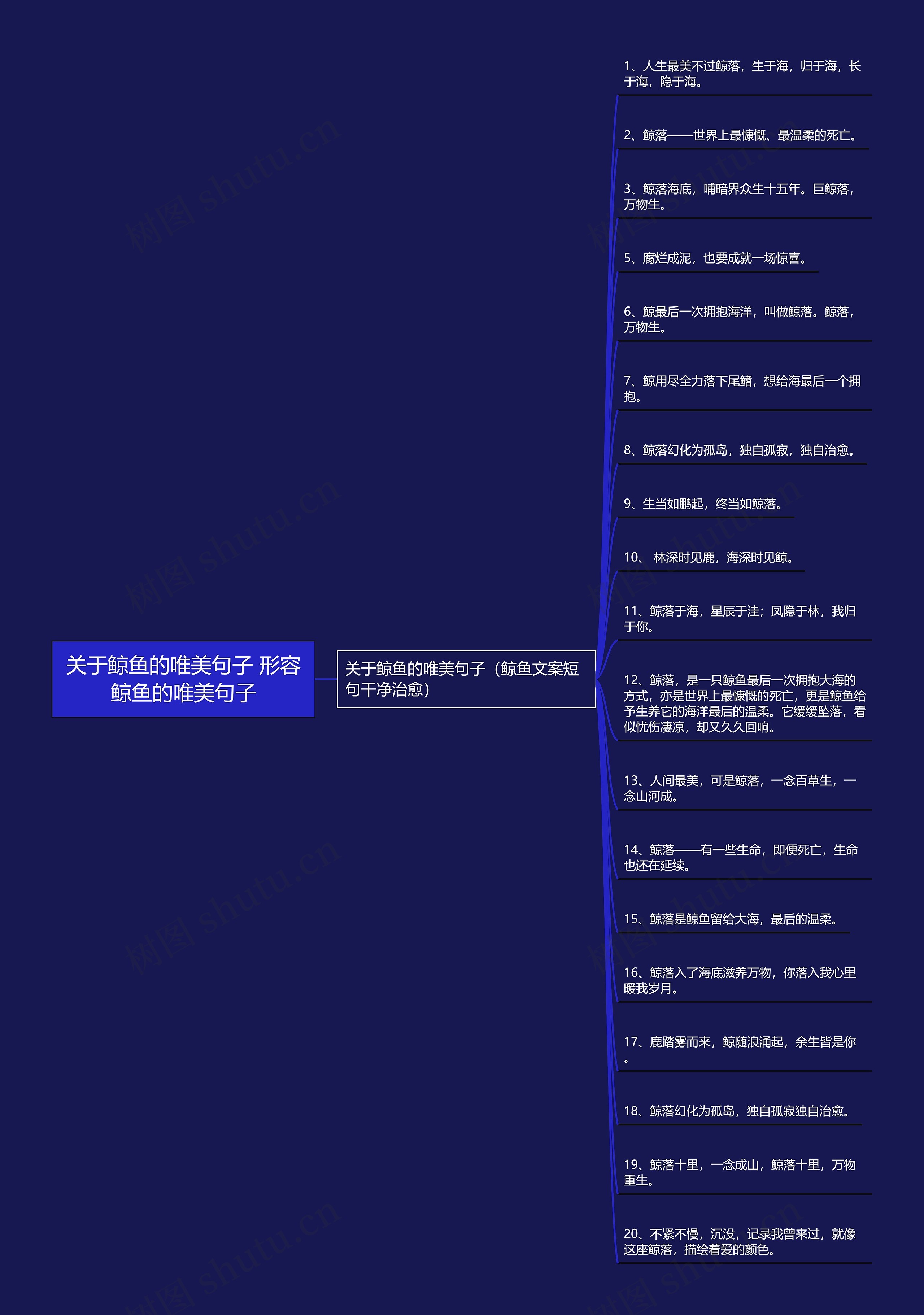 关于鲸鱼的唯美句子 形容鲸鱼的唯美句子 关于鲸鱼的唯美句子 形容鲸鱼的唯美句子