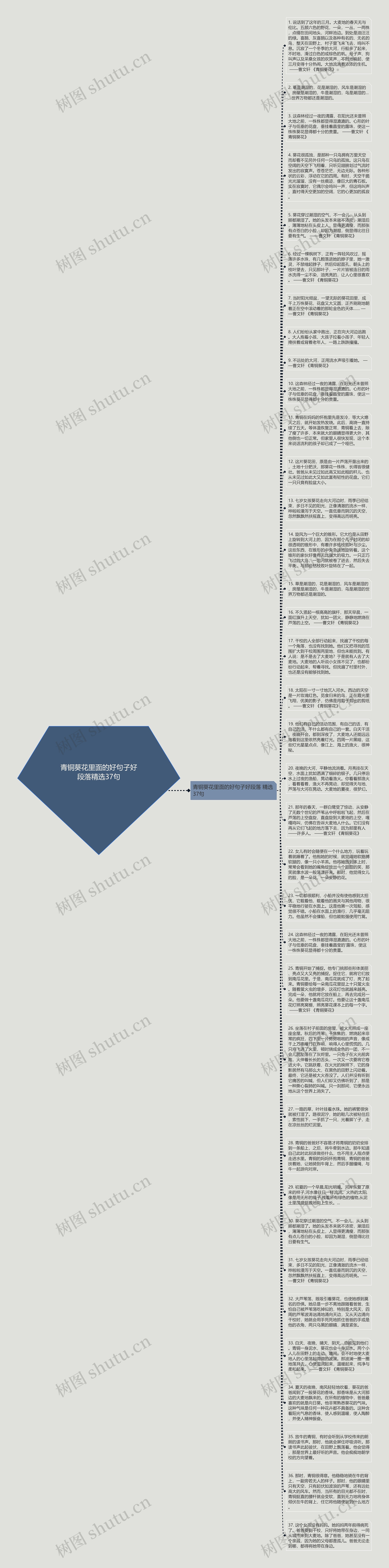 青铜葵花里面的好句子好段落精选37句思维导图