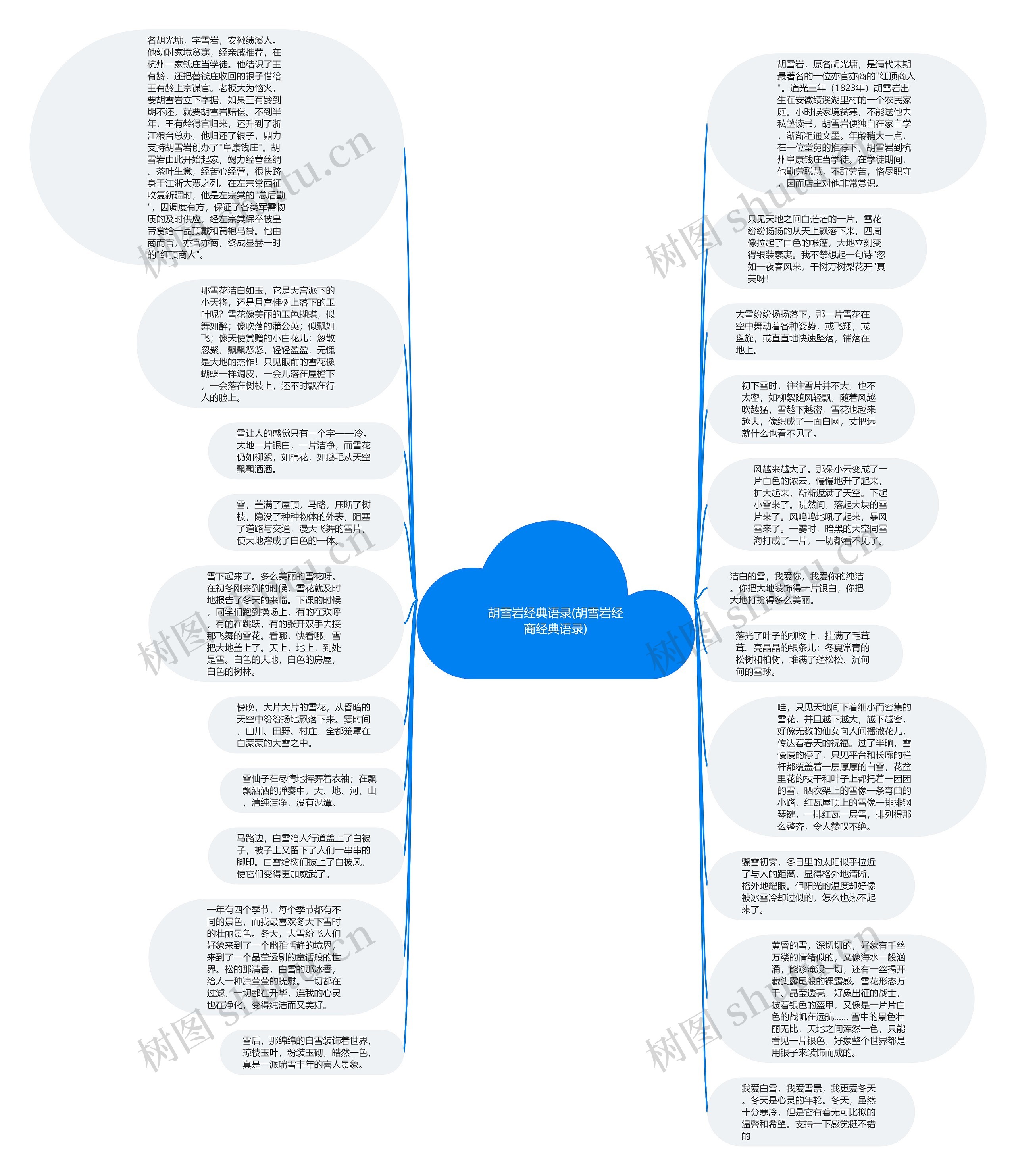 胡雪岩经典语录(胡雪岩经商经典语录)思维导图