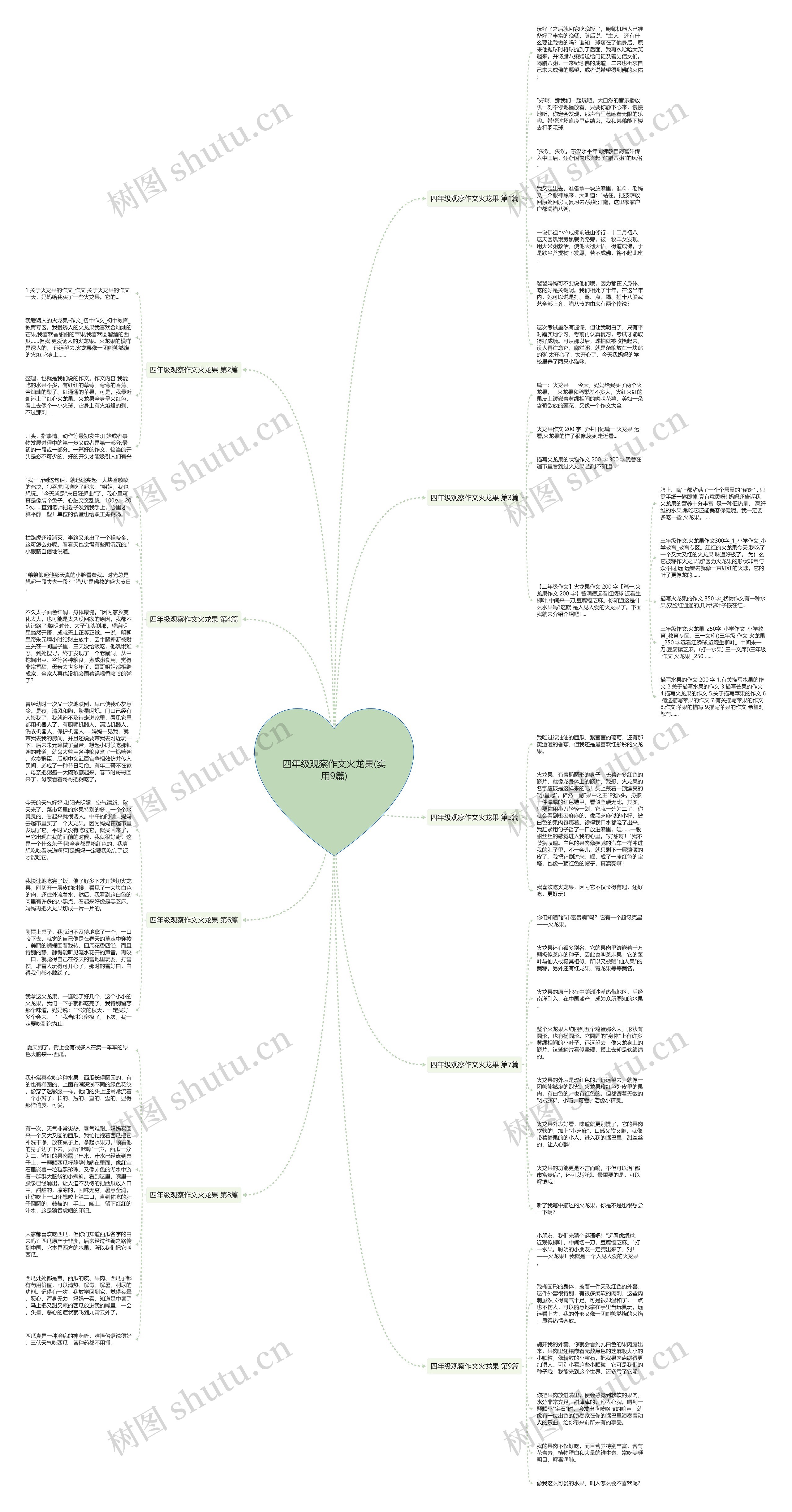 四年级观察作文火龙果(实用9篇) 四年级观察作文火龙果(实用9篇)