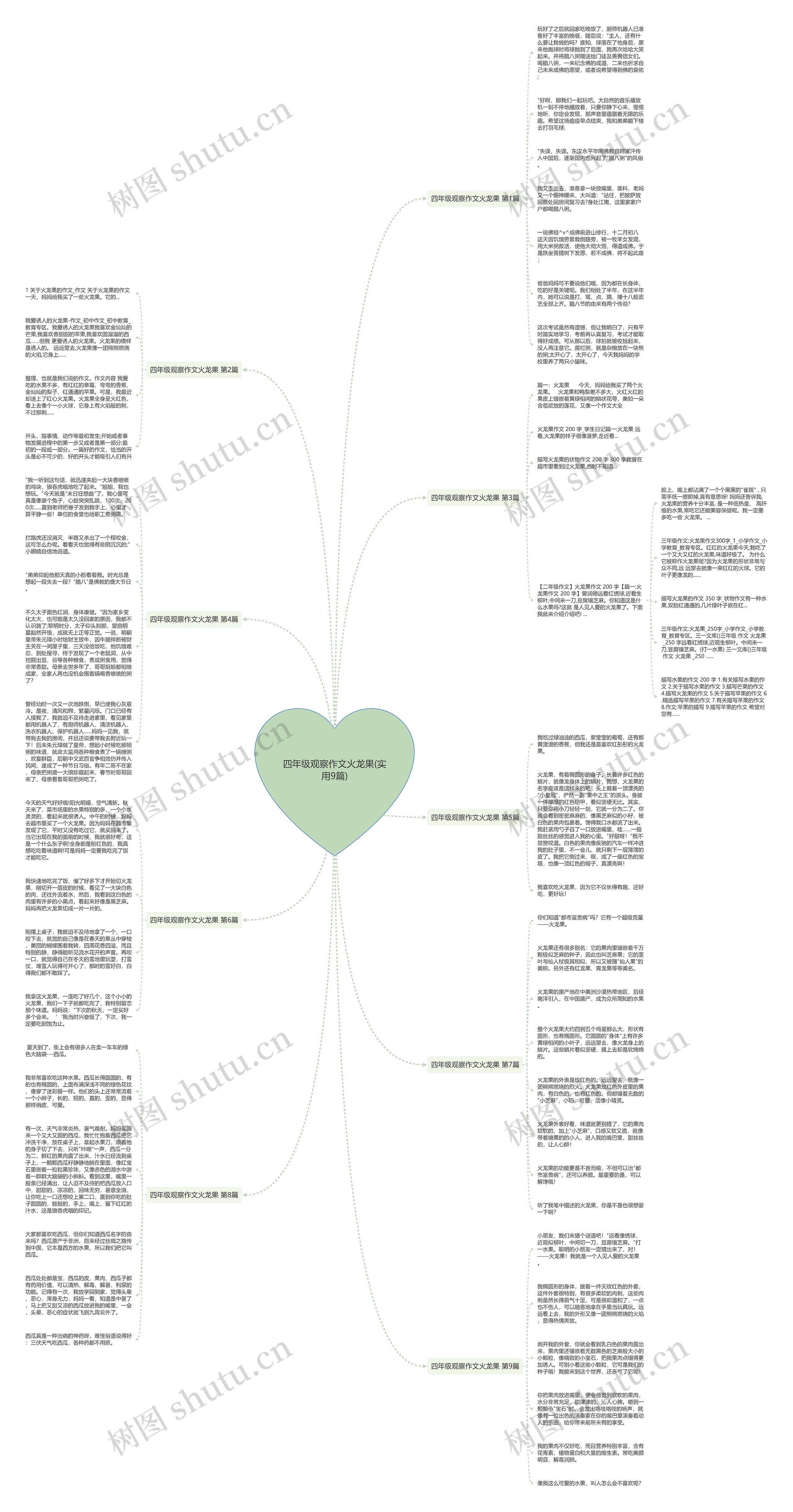 四年级观察作文火龙果(实用9篇)思维导图