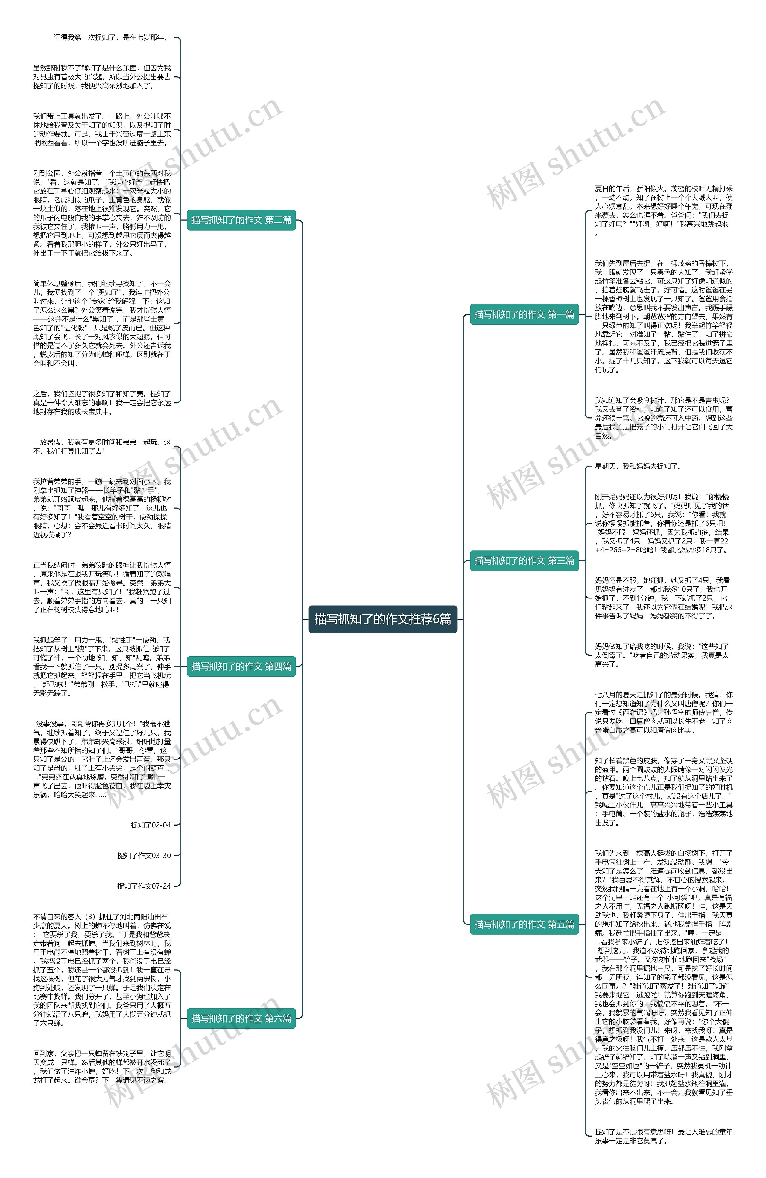 描写抓知了的作文推荐6篇思维导图