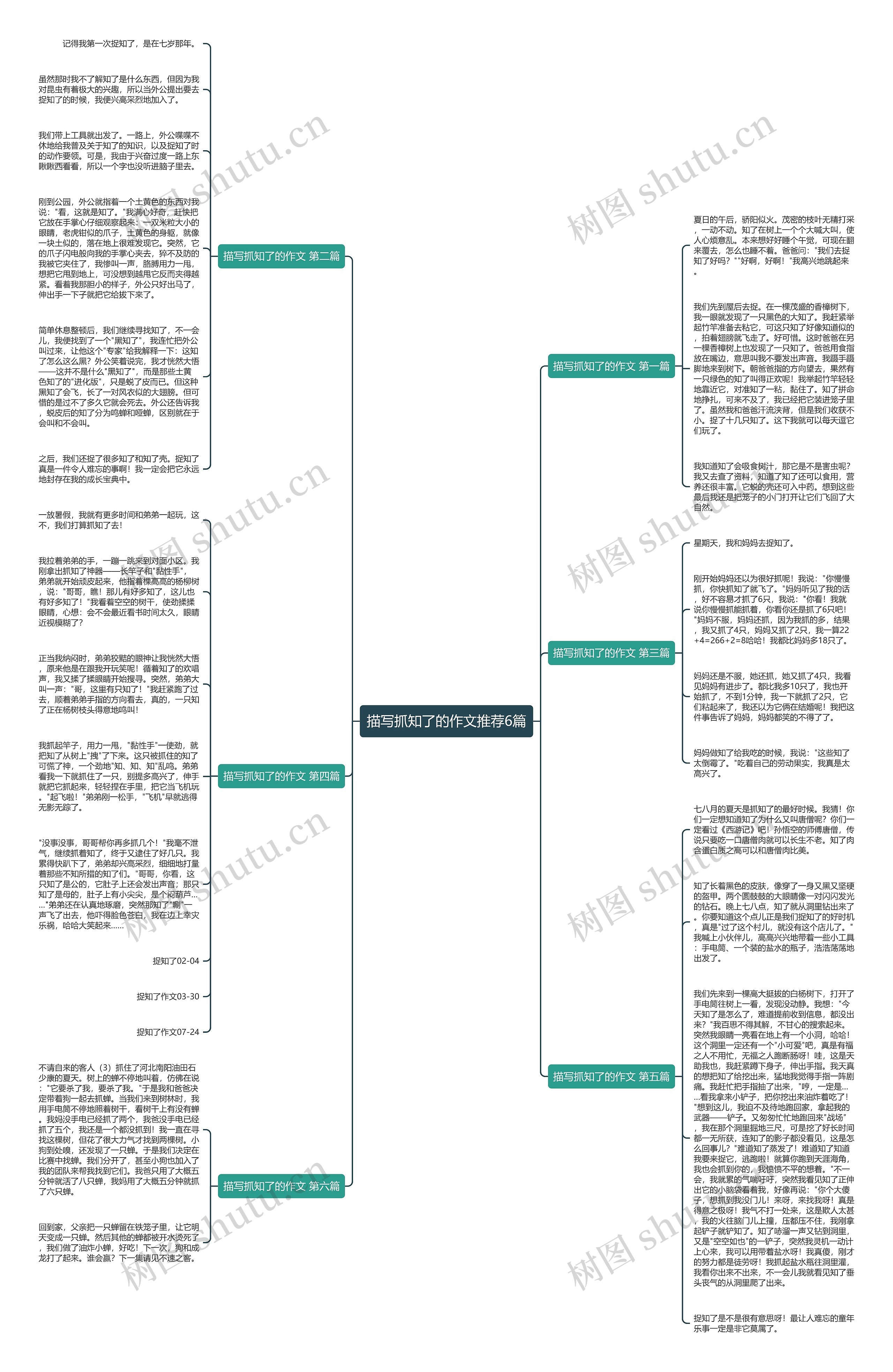 描写抓知了的作文推荐6篇 描写抓知了的作文推荐6篇