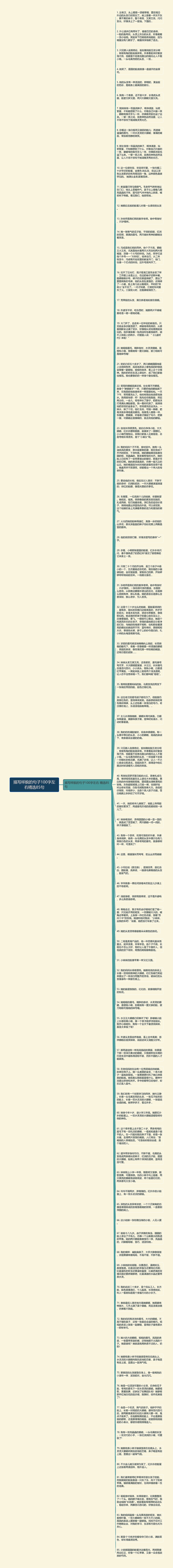 描写样貌的句子100字左右精选85句