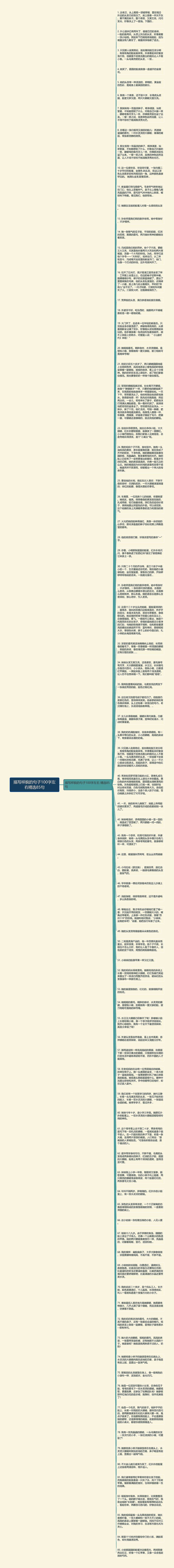 描写样貌的句子100字左右精选85句思维导图