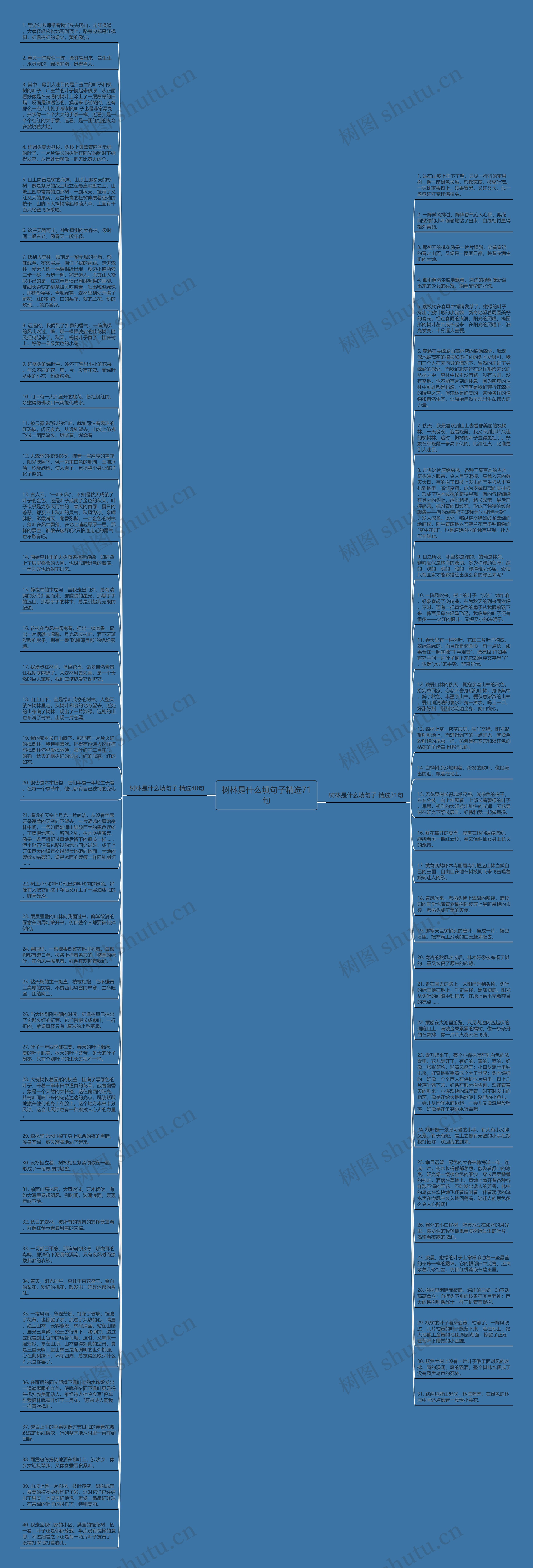 树林是什么填句子精选71句思维导图
