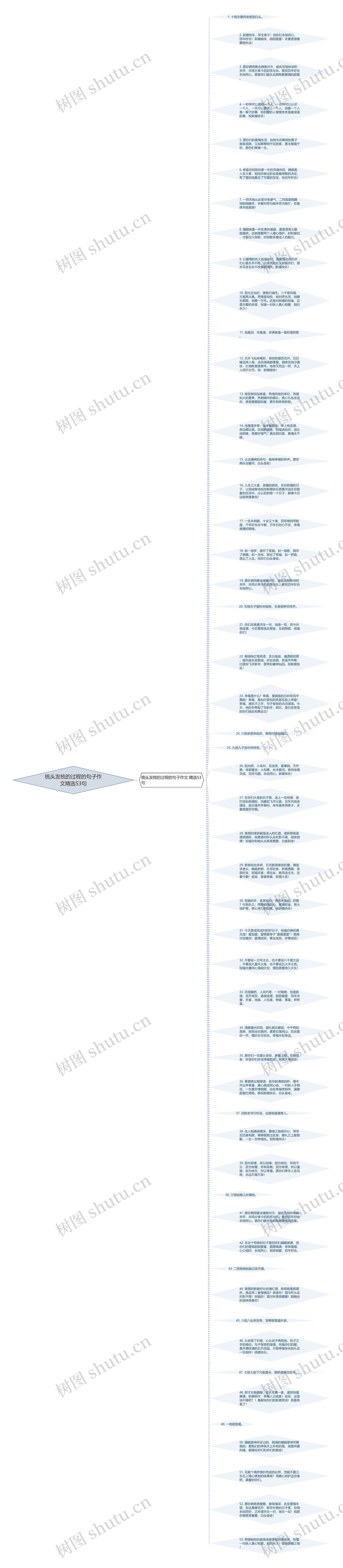 梳头发梳的过程的句子作文精选53句思维导图