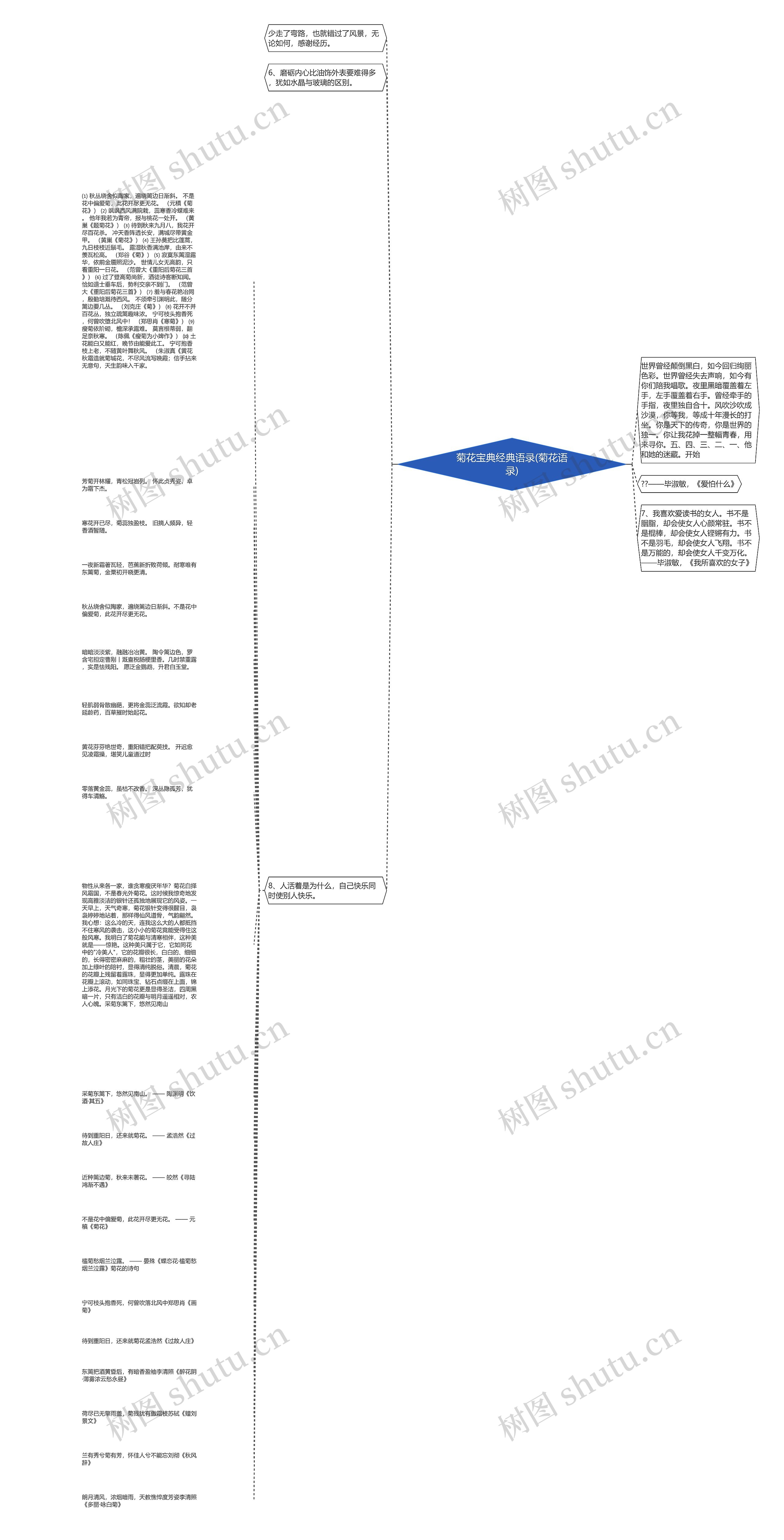 菊花宝典经典语录(菊花语录)思维导图