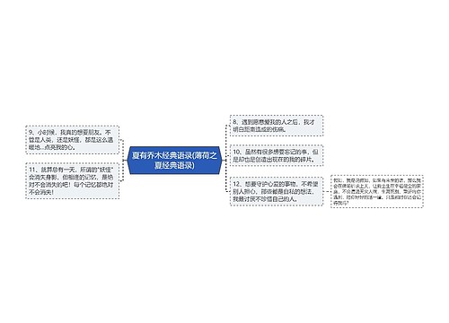 夏有乔木经典语录(薄荷之夏经典语录)