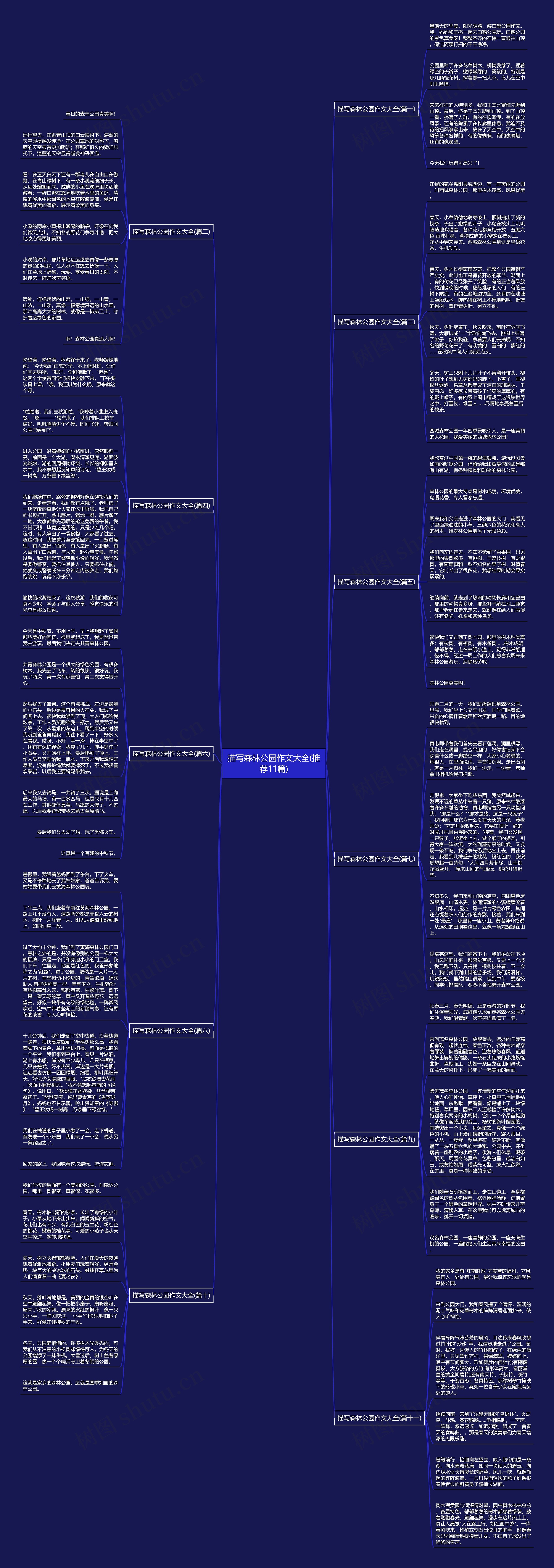 描写森林公园作文大全(推荐11篇)思维导图