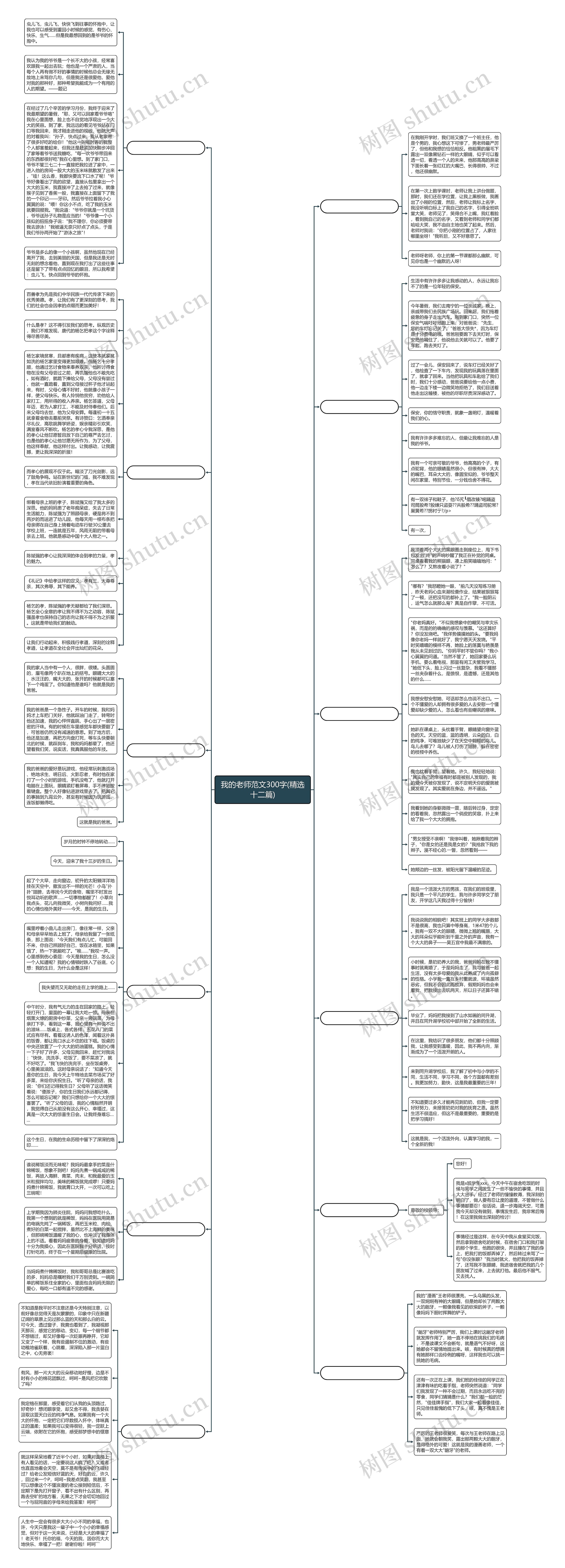 我的老师范文300字(精选十二篇)思维导图
