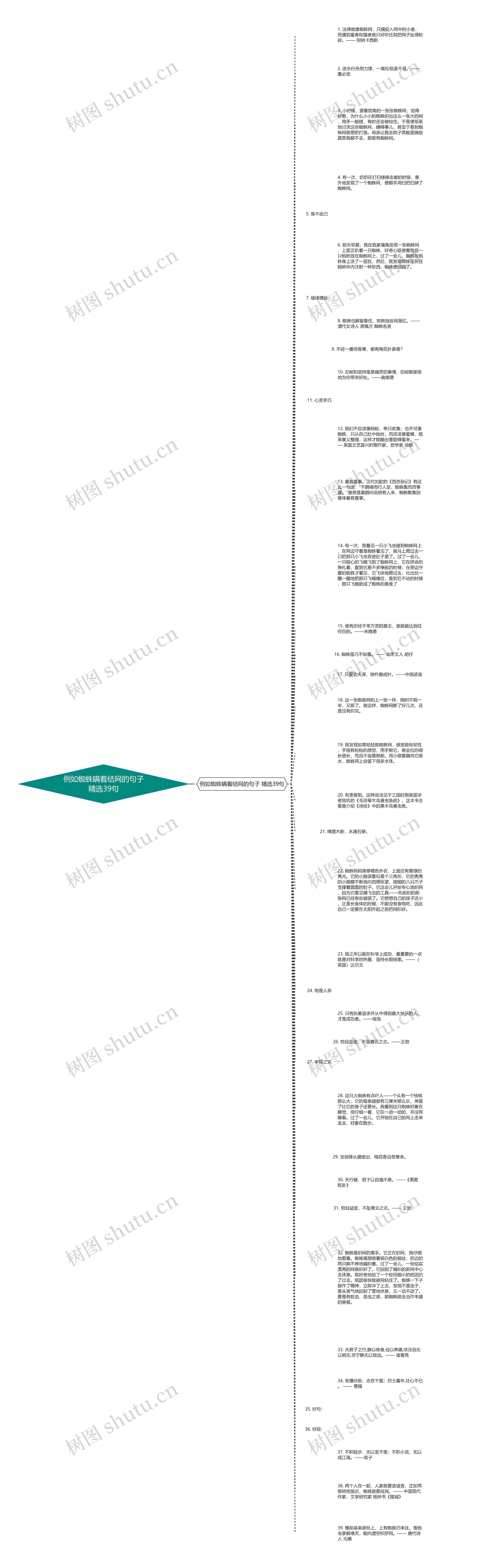 例如蜘蛛瞒着结网的句子精选39句思维导图