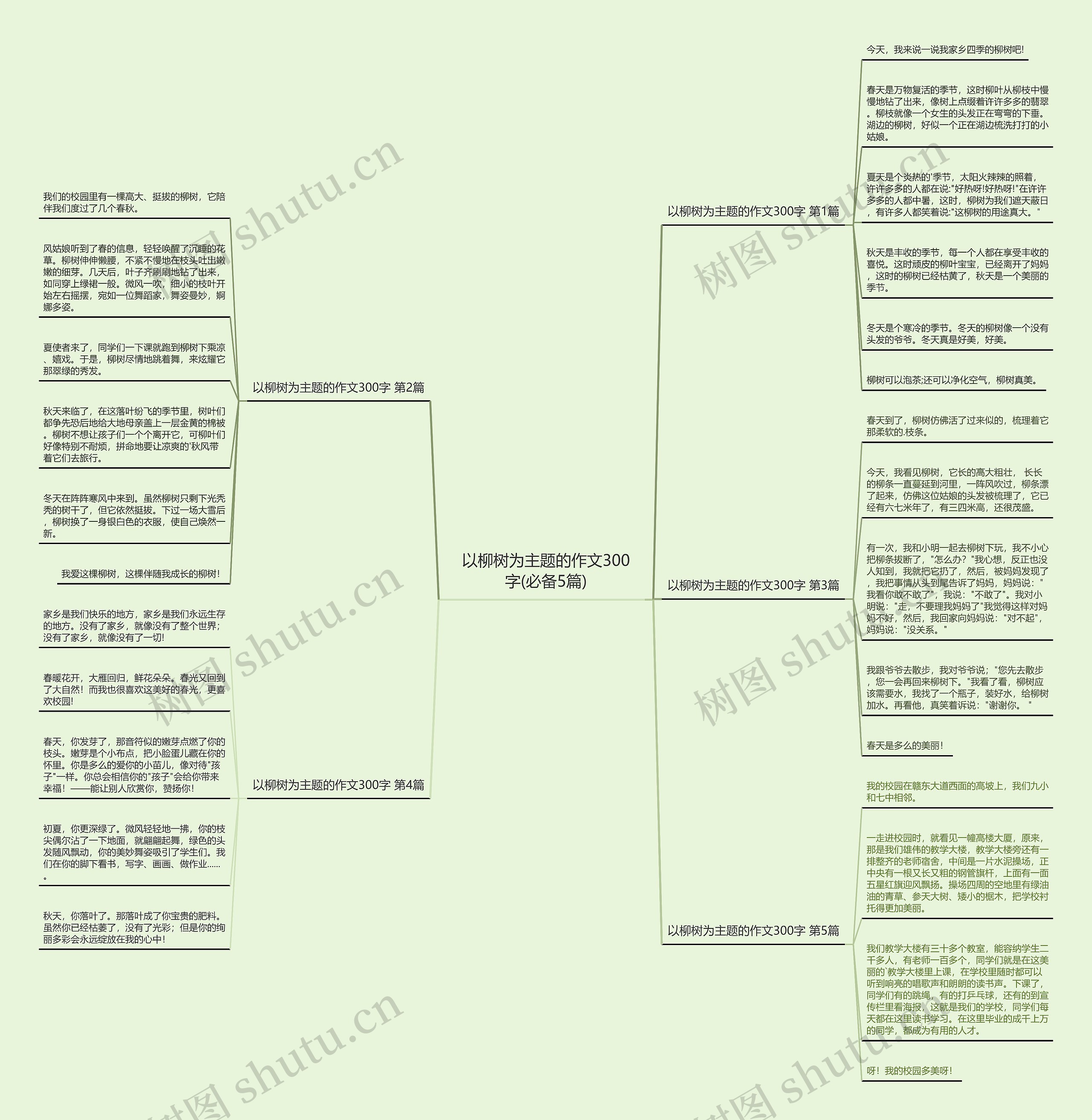 以柳树为主题的作文300字(必备5篇)思维导图