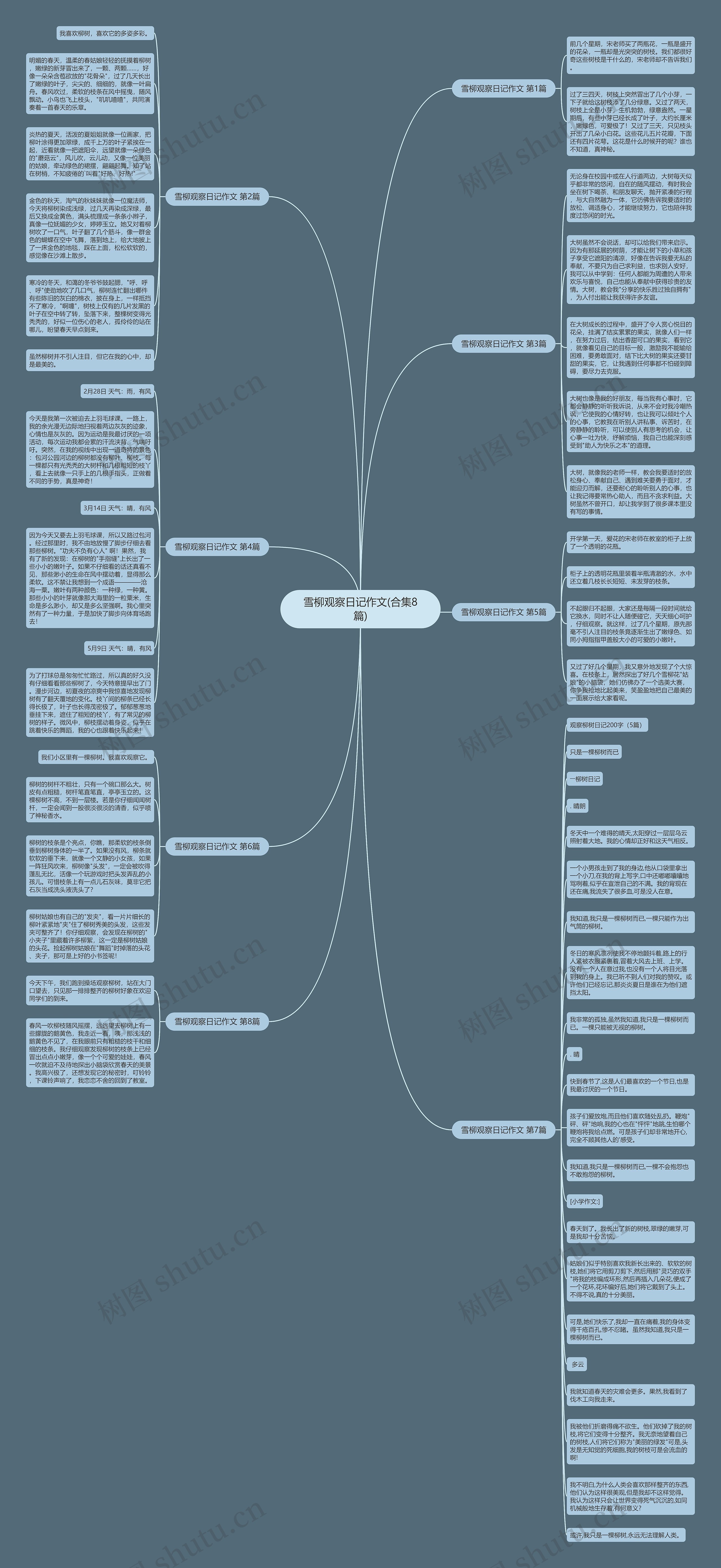 雪柳观察日记作文(合集8篇)思维导图