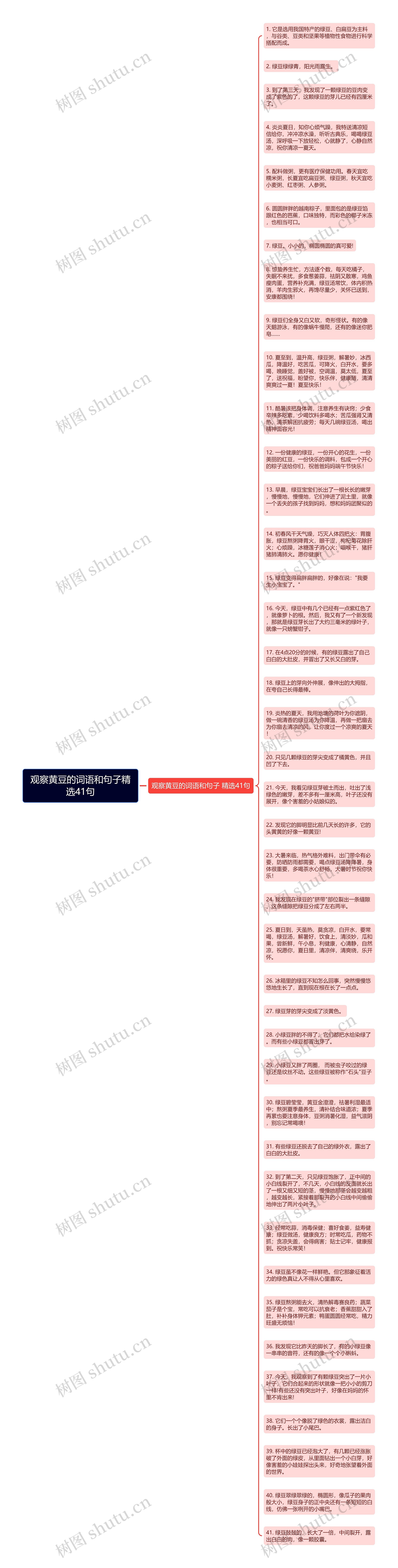 观察黄豆的词语和句子精选41句思维导图