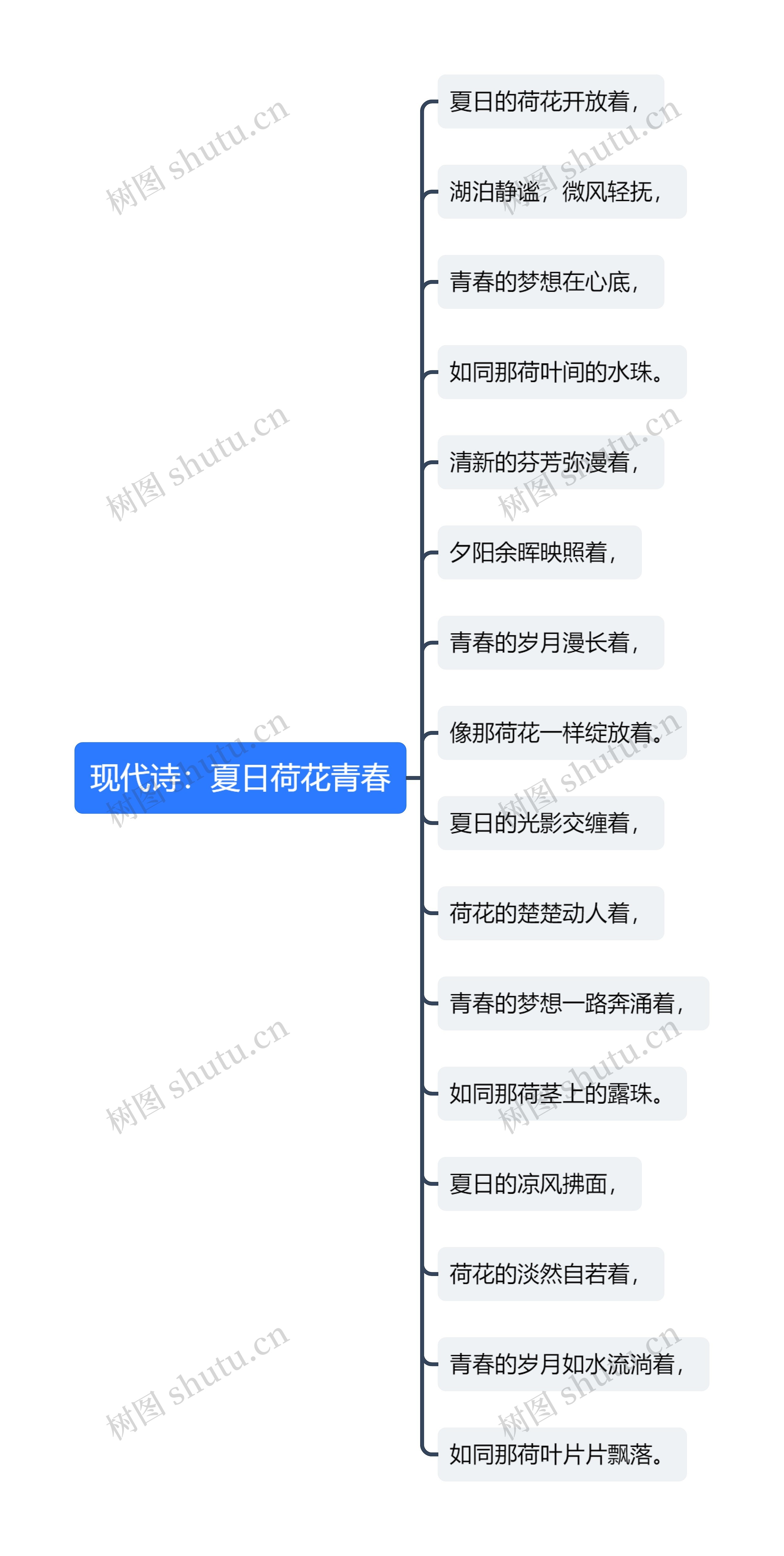 现代诗：夏日荷花青春