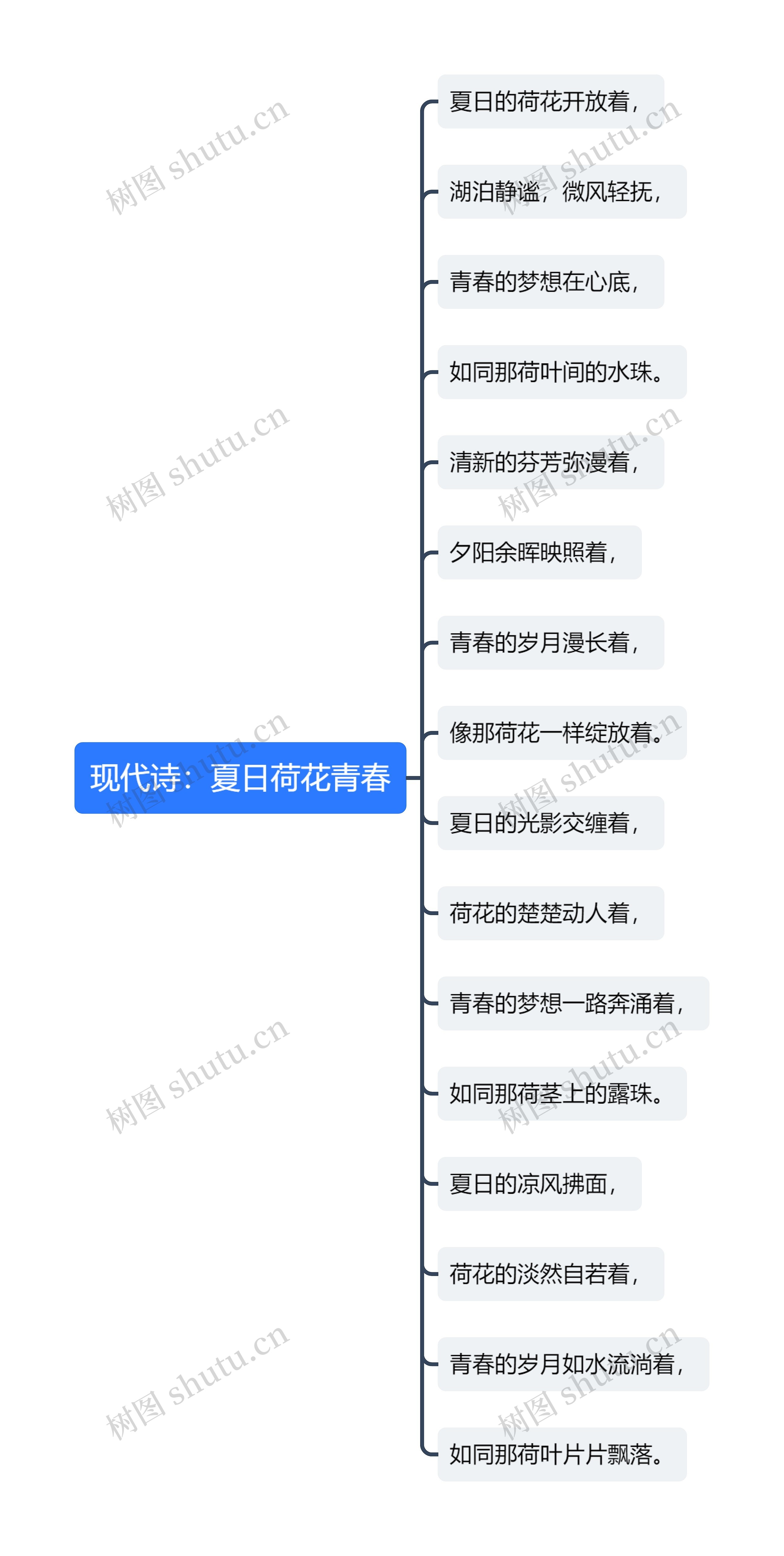 现代诗：夏日荷花青春思维导图