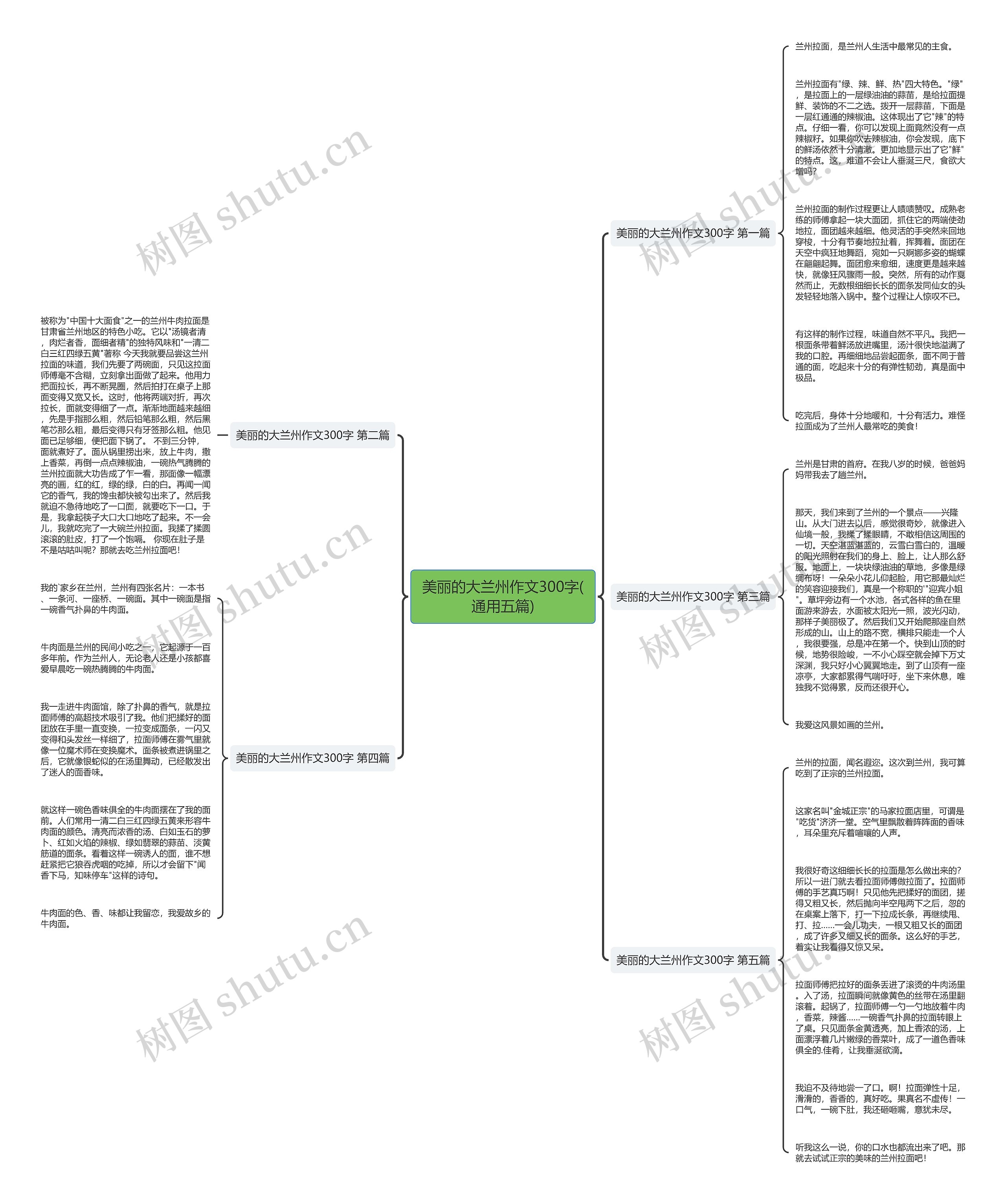 美丽的大兰州作文300字(通用五篇)思维导图