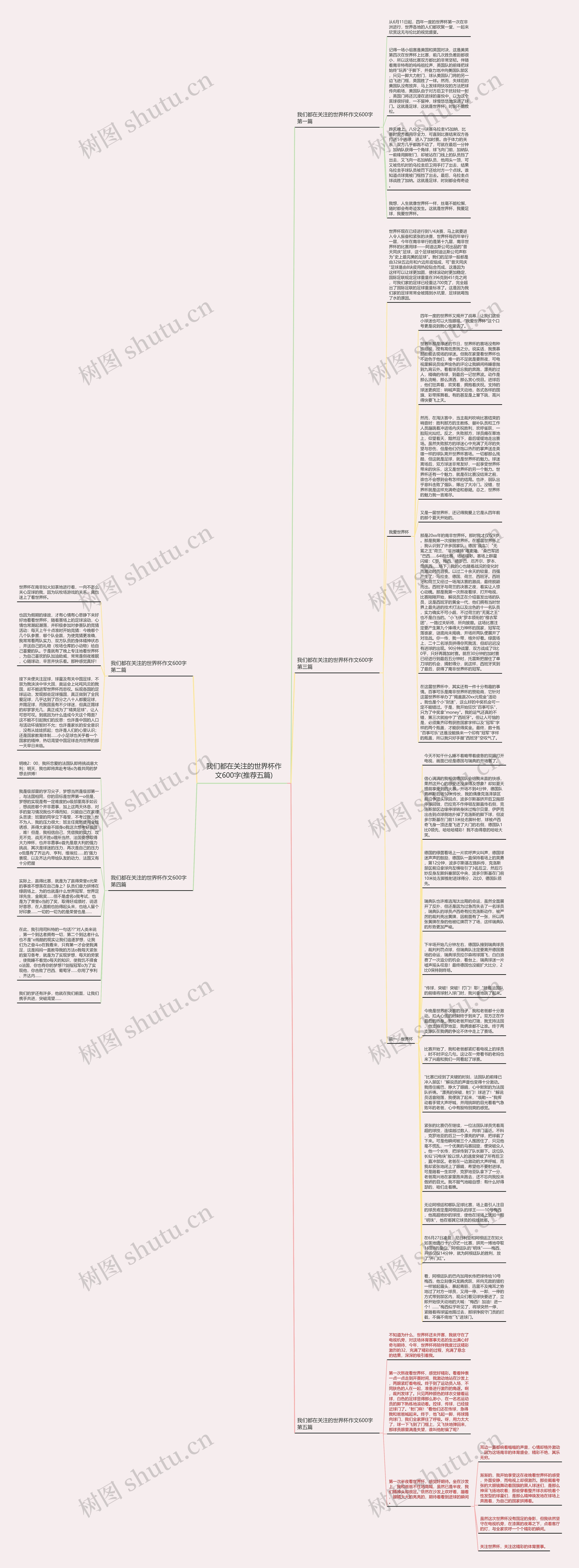 我们都在关注的世界杯作文600字(推荐五篇)思维导图