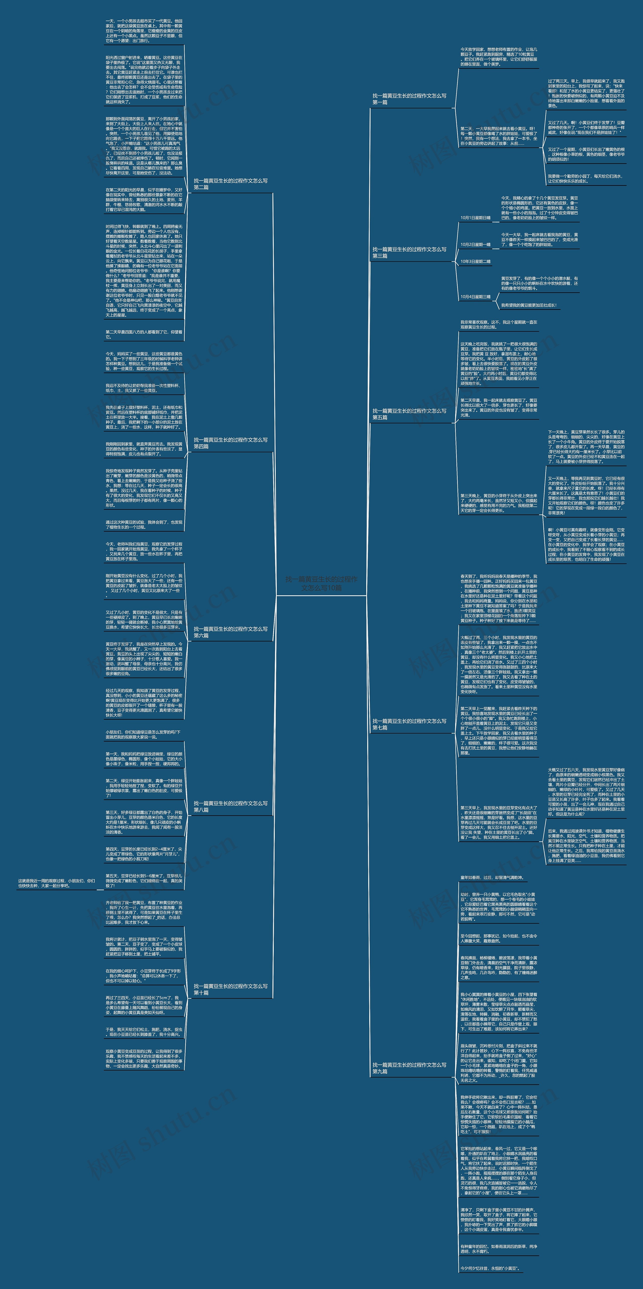 找一篇黄豆生长的过程作文怎么写10篇思维导图