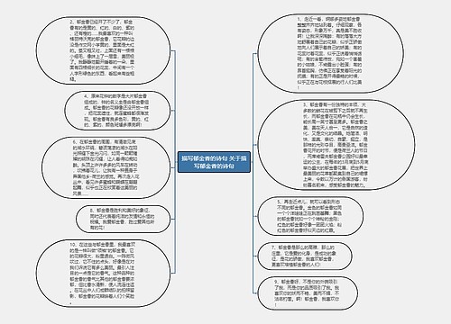 描写郁金香的诗句 关于描写郁金香的诗句