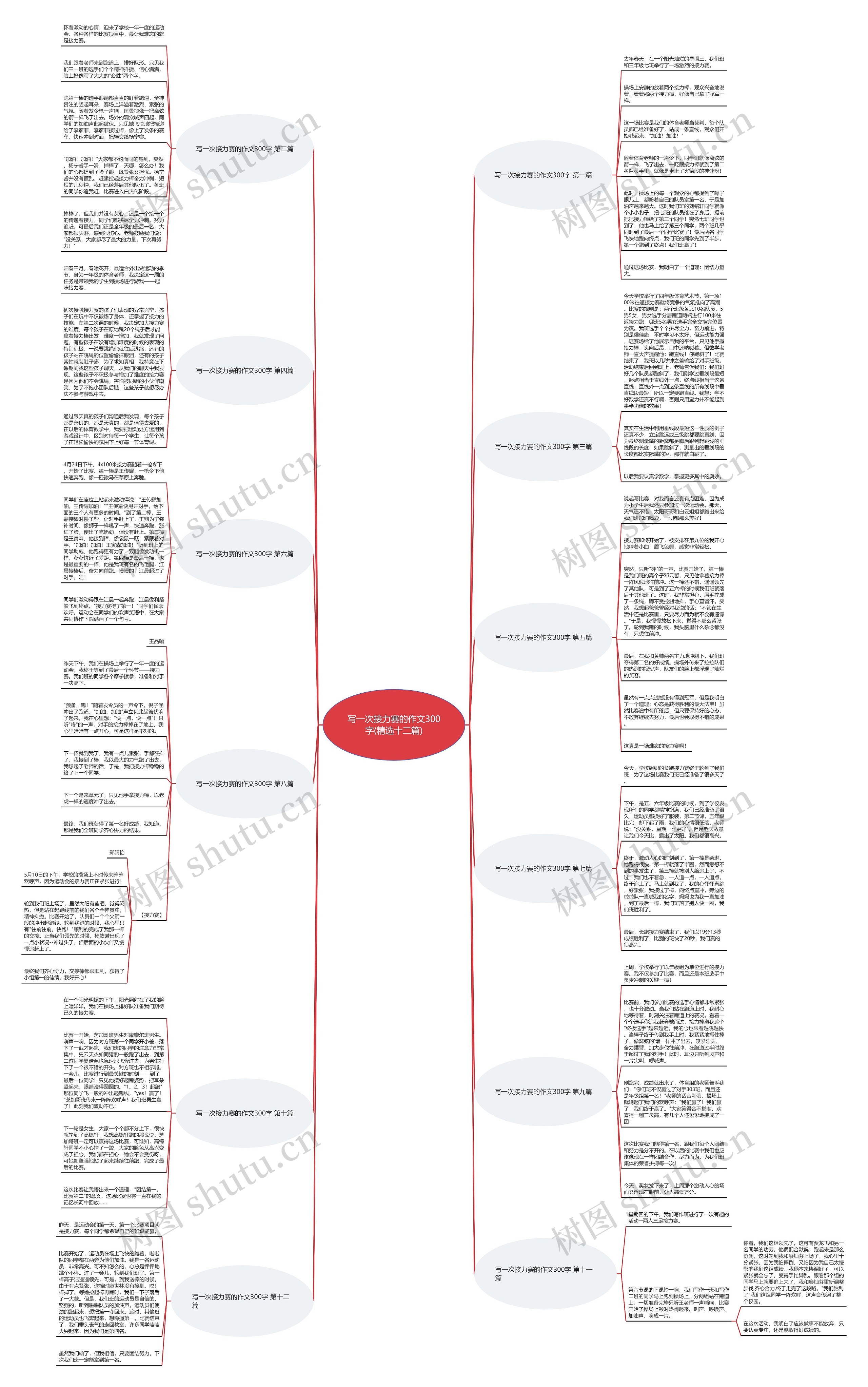 写一次接力赛的作文300字(精选十二篇) 写一次接力赛的作文300字(精选十二篇)