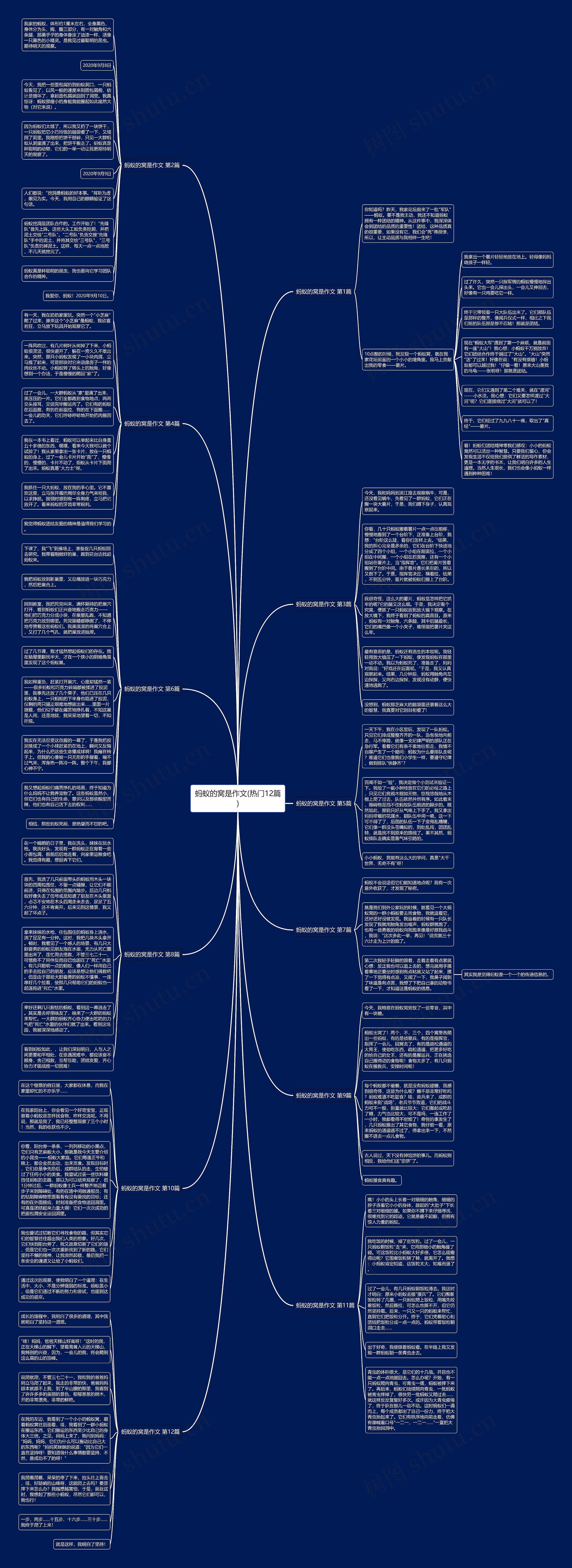 蚂蚁的窝是作文(热门12篇)思维导图