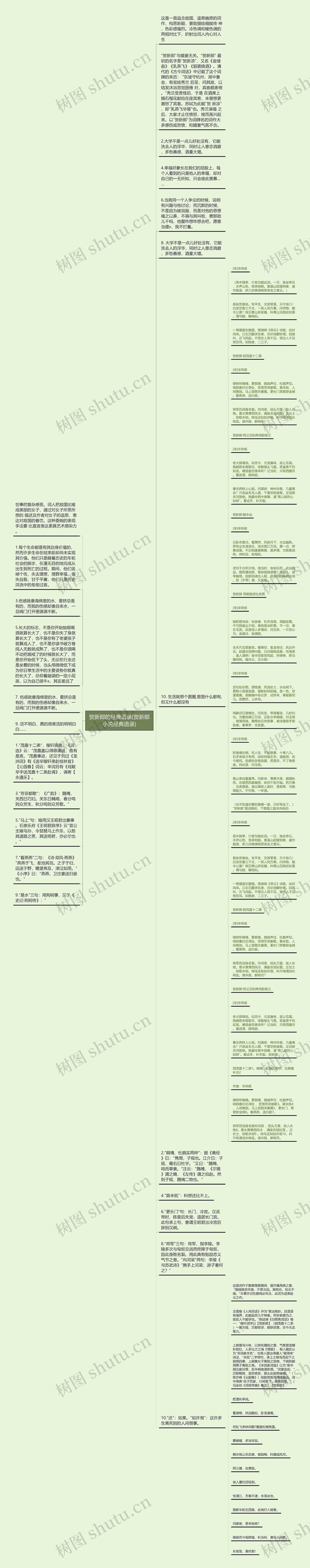贺新郎的经典语录(贺新郎小说经典语录)