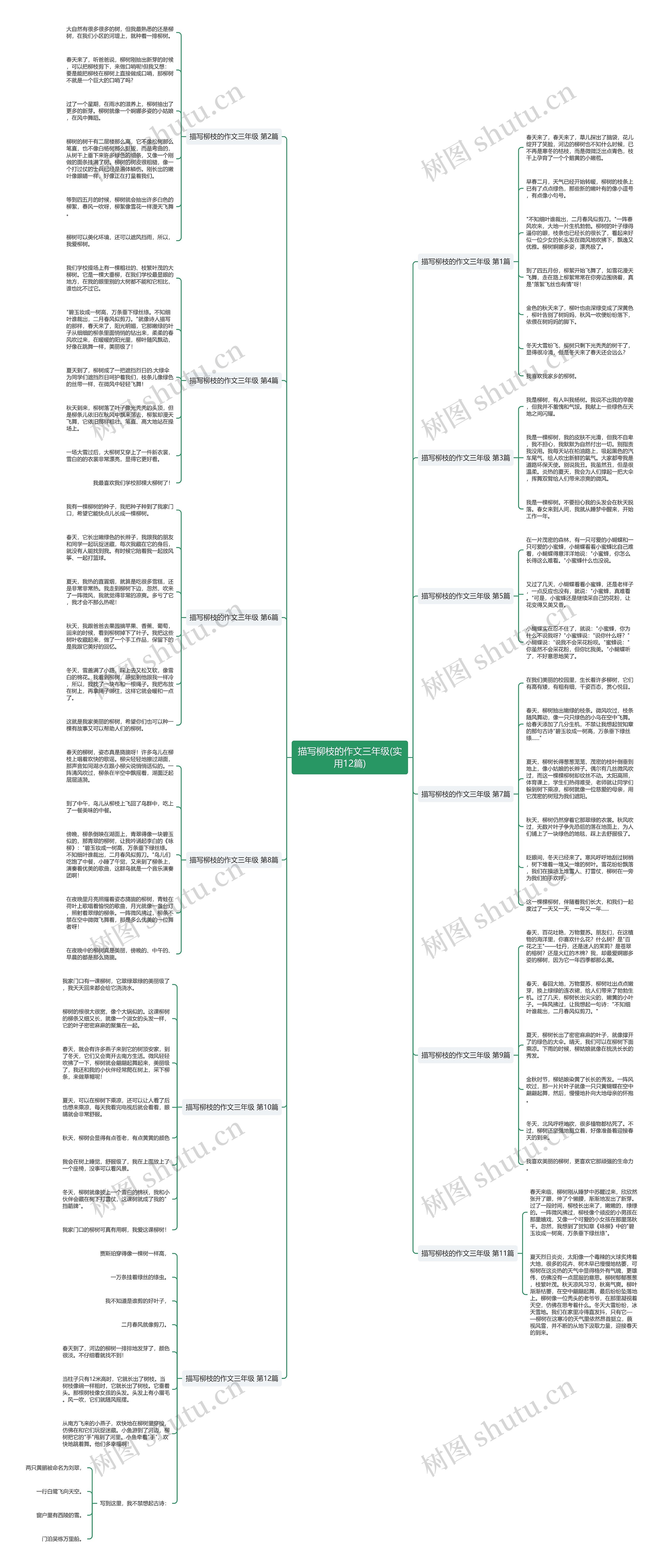 描写柳枝的作文三年级(实用12篇)思维导图