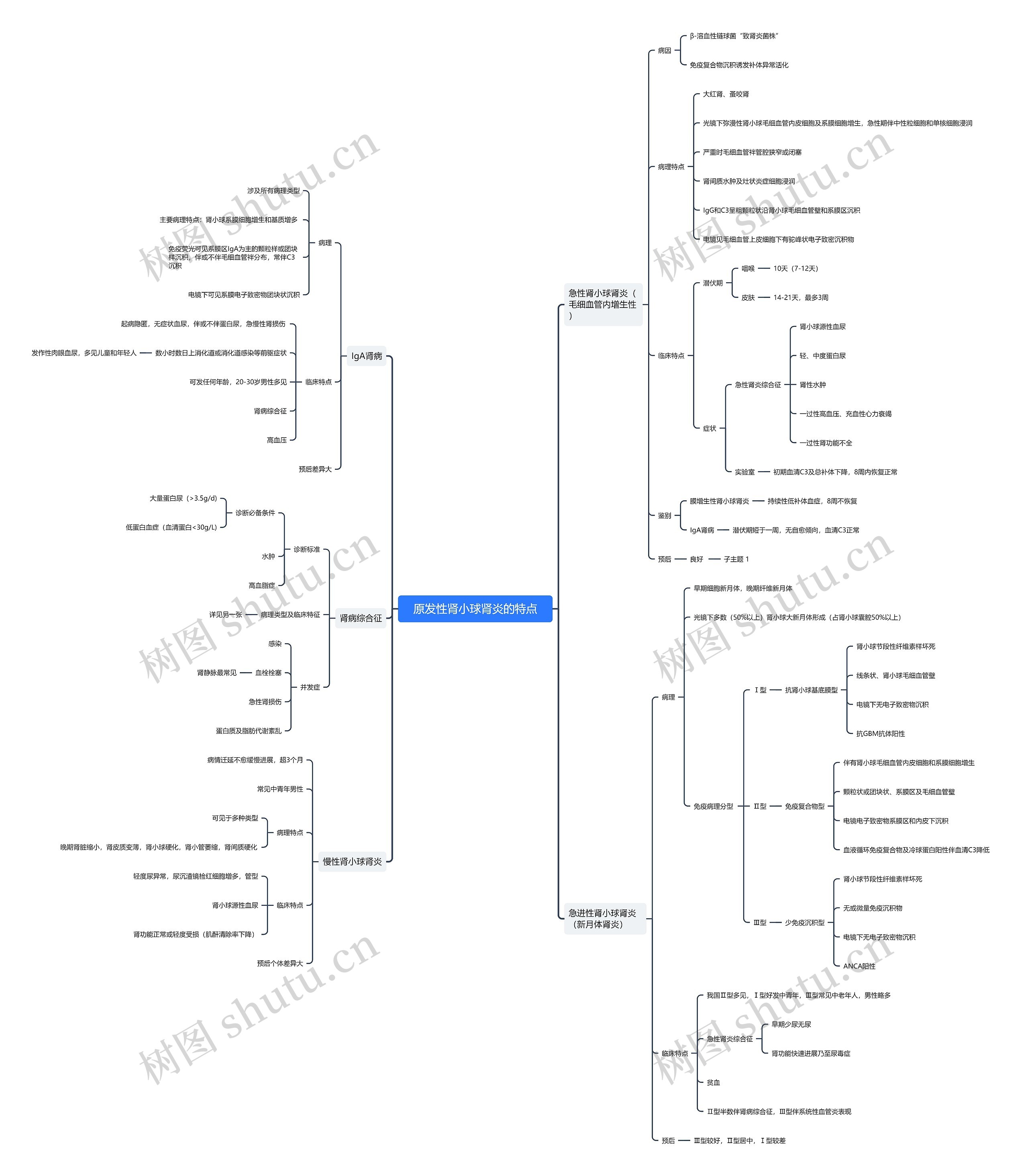原发性肾小球肾炎的特点思维导图