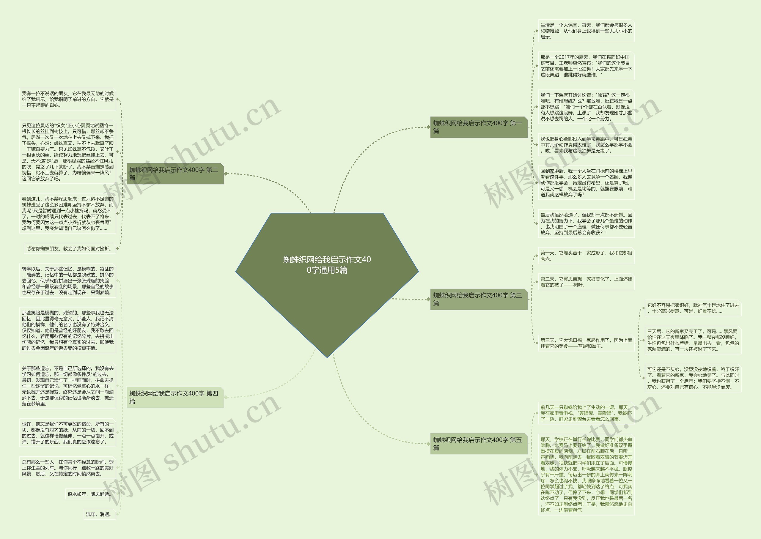 蜘蛛织网给我启示作文400字通用5篇 蜘蛛织网给我启示作文400字通用5篇