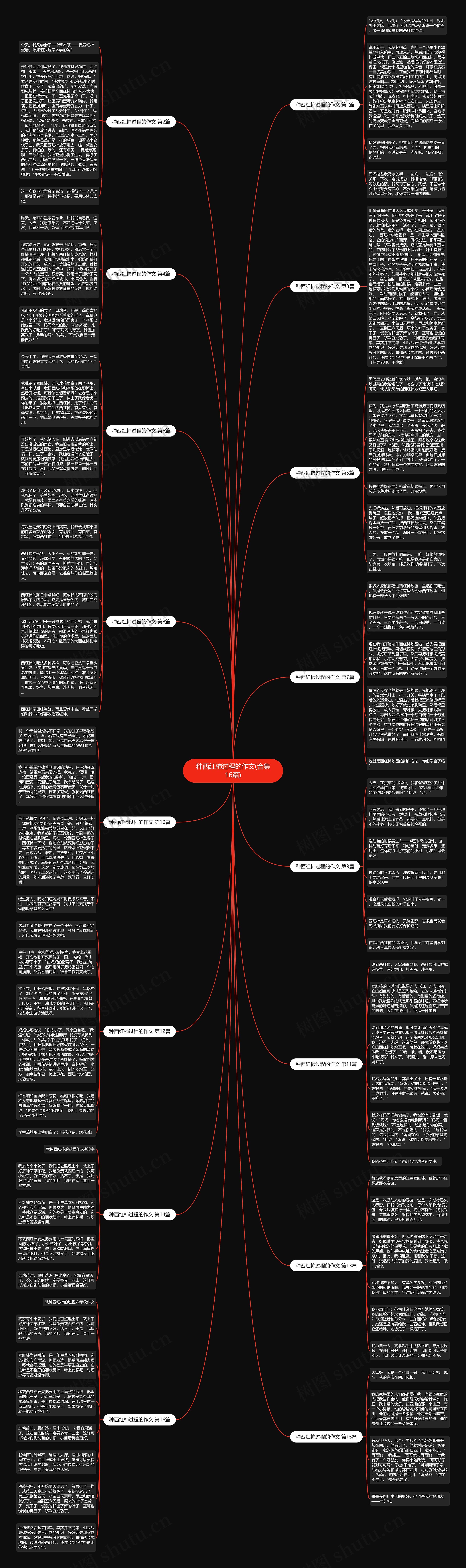 种西红柿过程的作文(合集16篇)思维导图