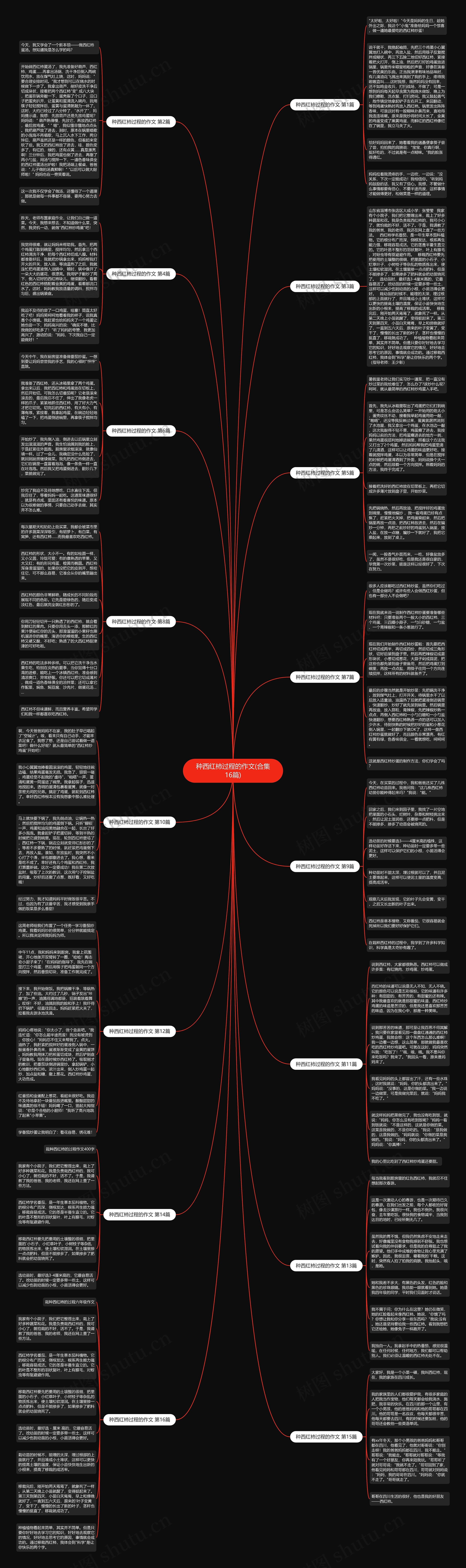 种西红柿过程的作文(合集16篇) 种西红柿过程的作文(合集16篇)
