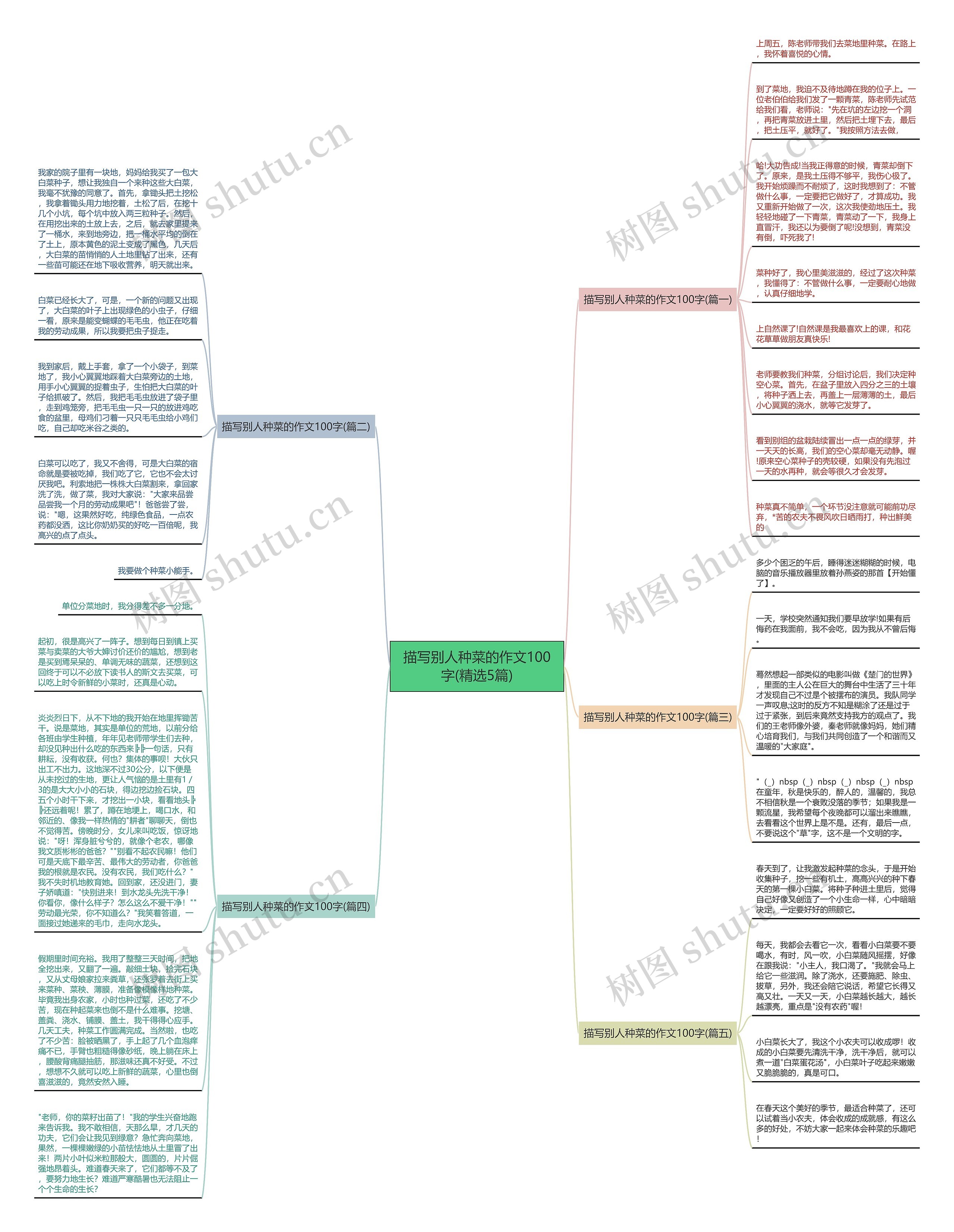 描写别人种菜的作文100字(精选5篇)思维导图