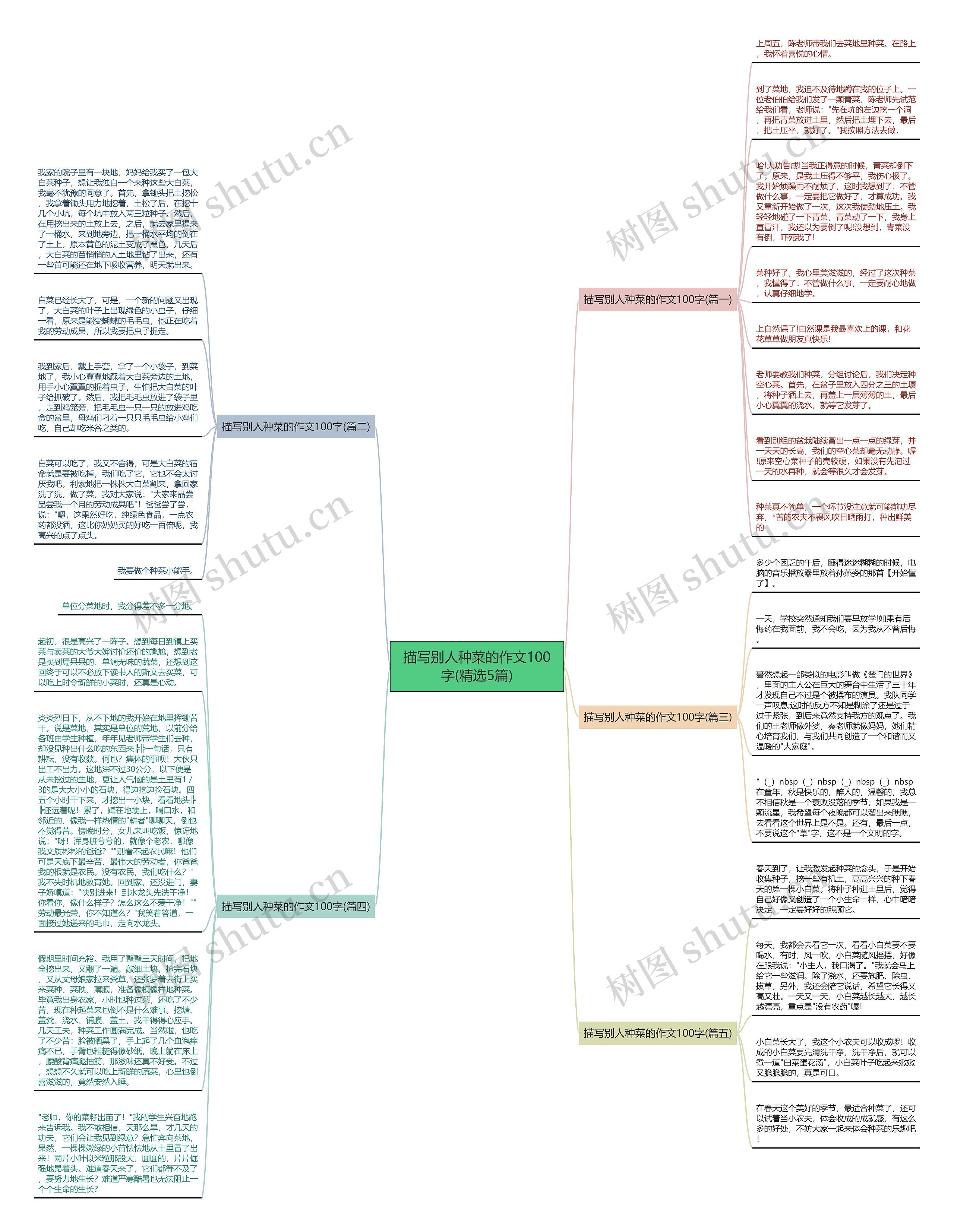 描写别人种菜的作文100字(精选5篇) 描写别人种菜的作文100字(精选5篇)