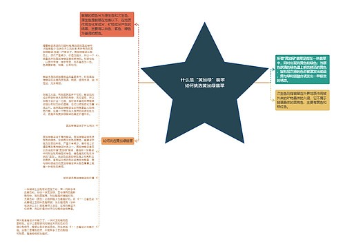 什么是“黄加绿”翡翠   如何挑选黄加绿翡翠