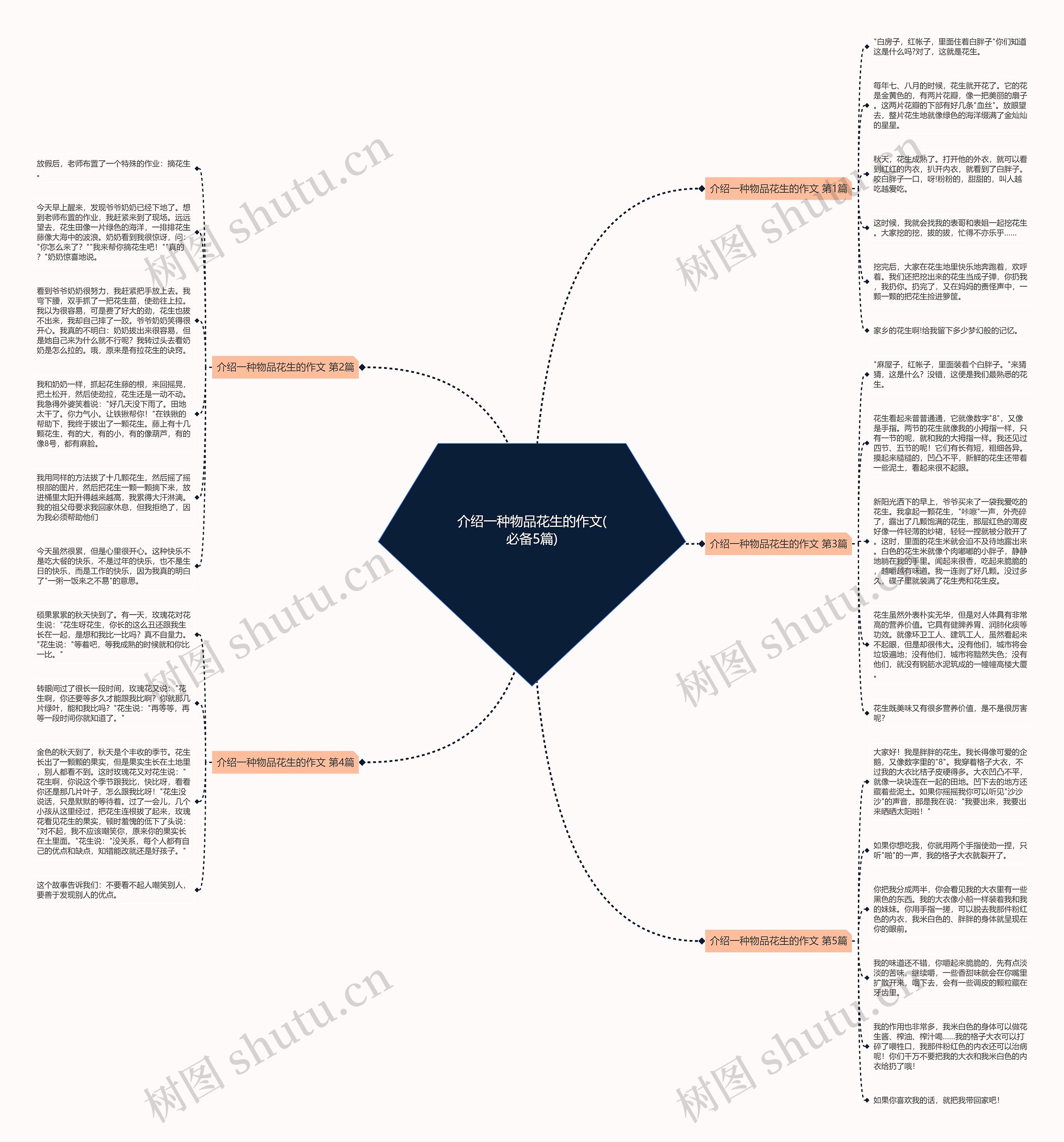介绍一种物品花生的作文(必备5篇)思维导图
