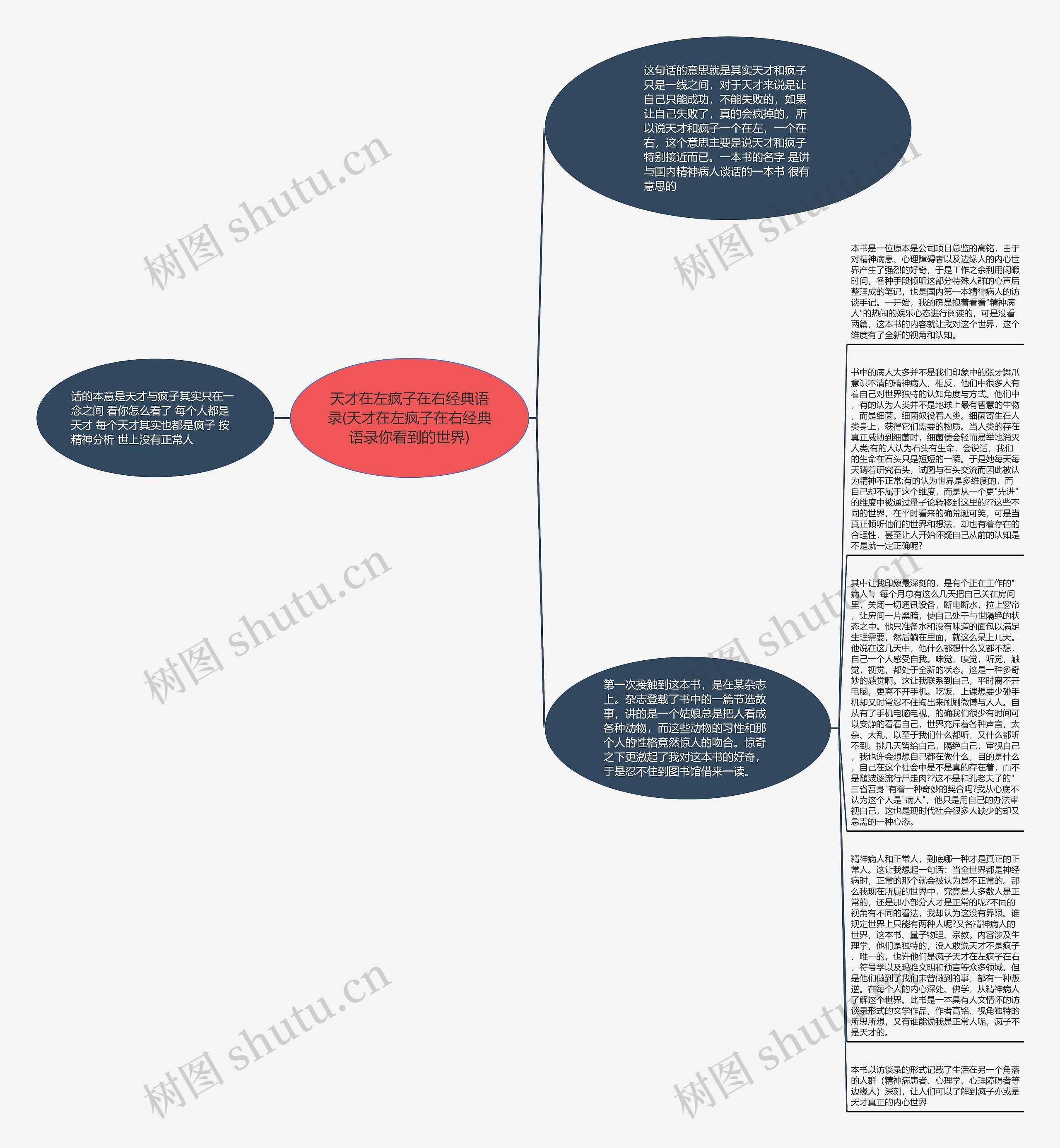 天才在左疯子在右经典语录(天才在左疯子在右经典语录你看到的世界)思维导图