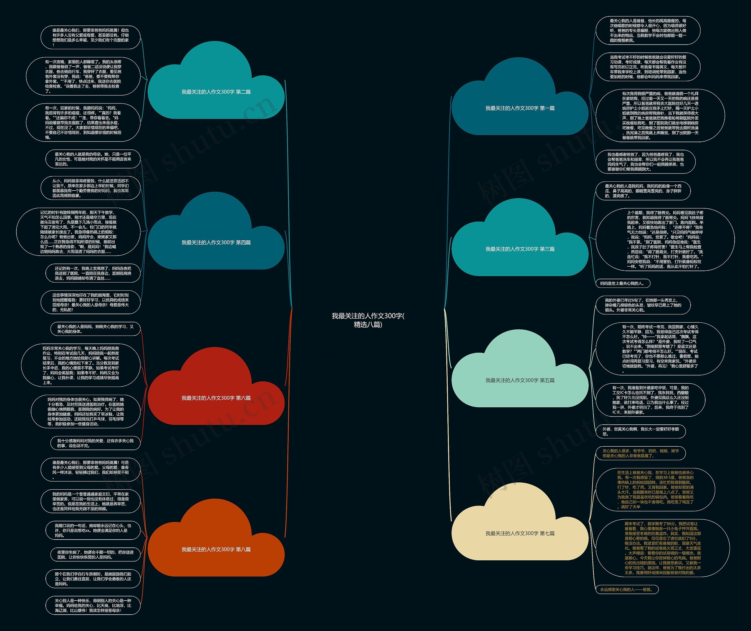 我最关注的人作文300字(精选八篇)思维导图