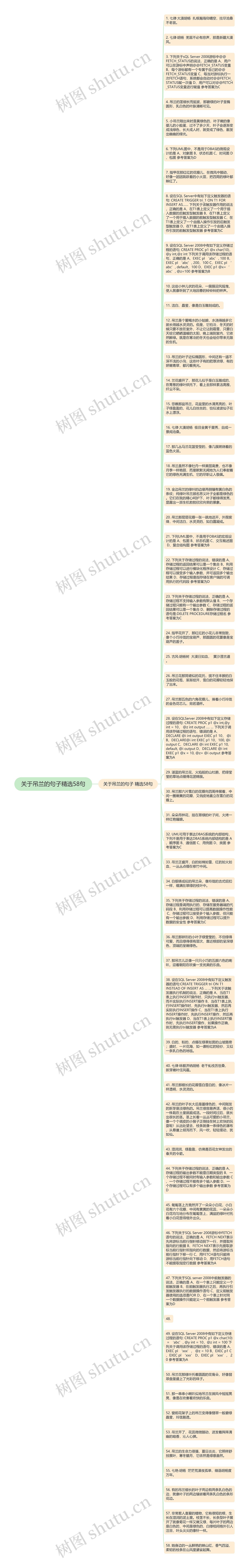 关于吊兰的句子精选58句