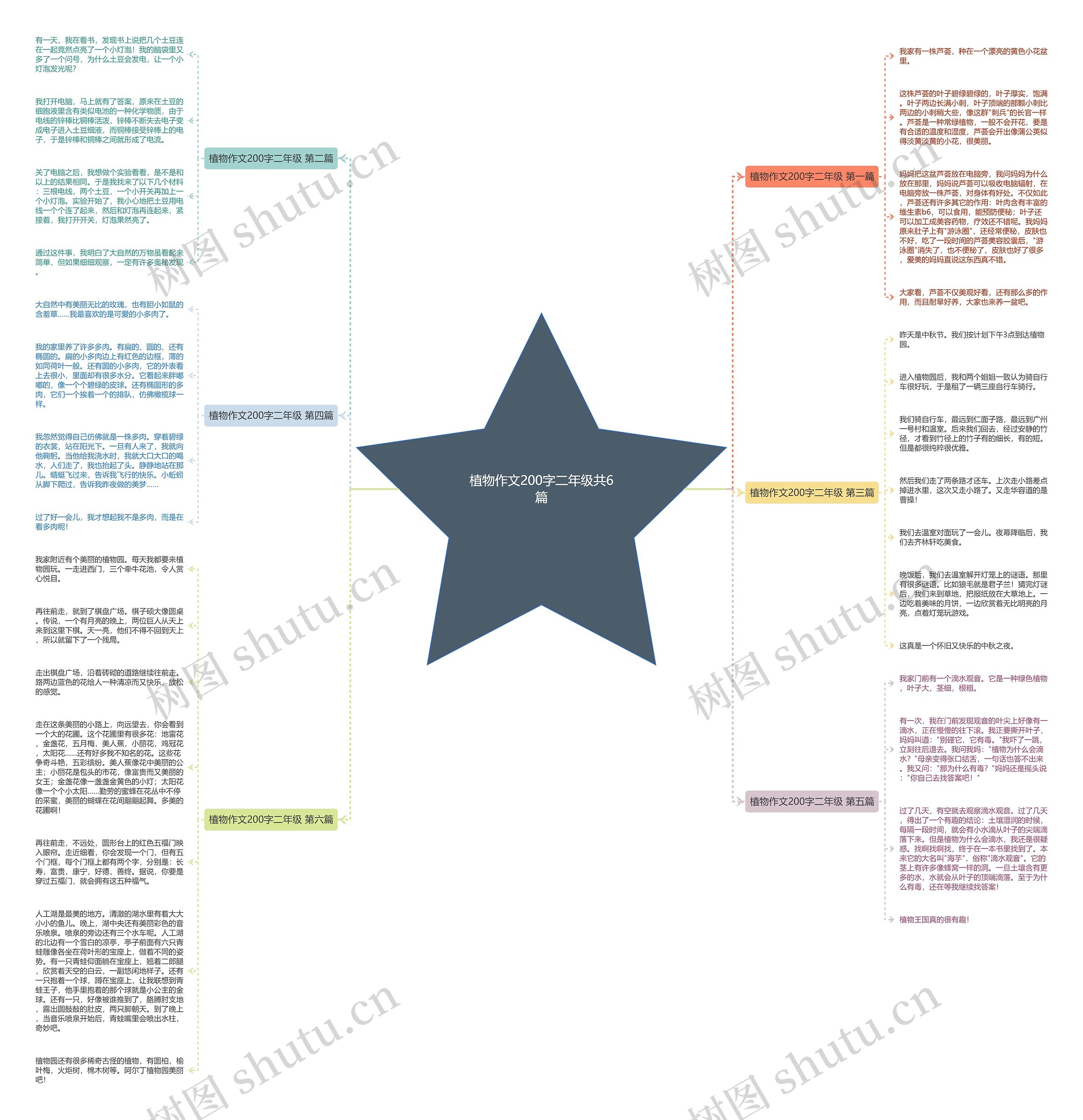 植物作文200字二年级共6篇思维导图