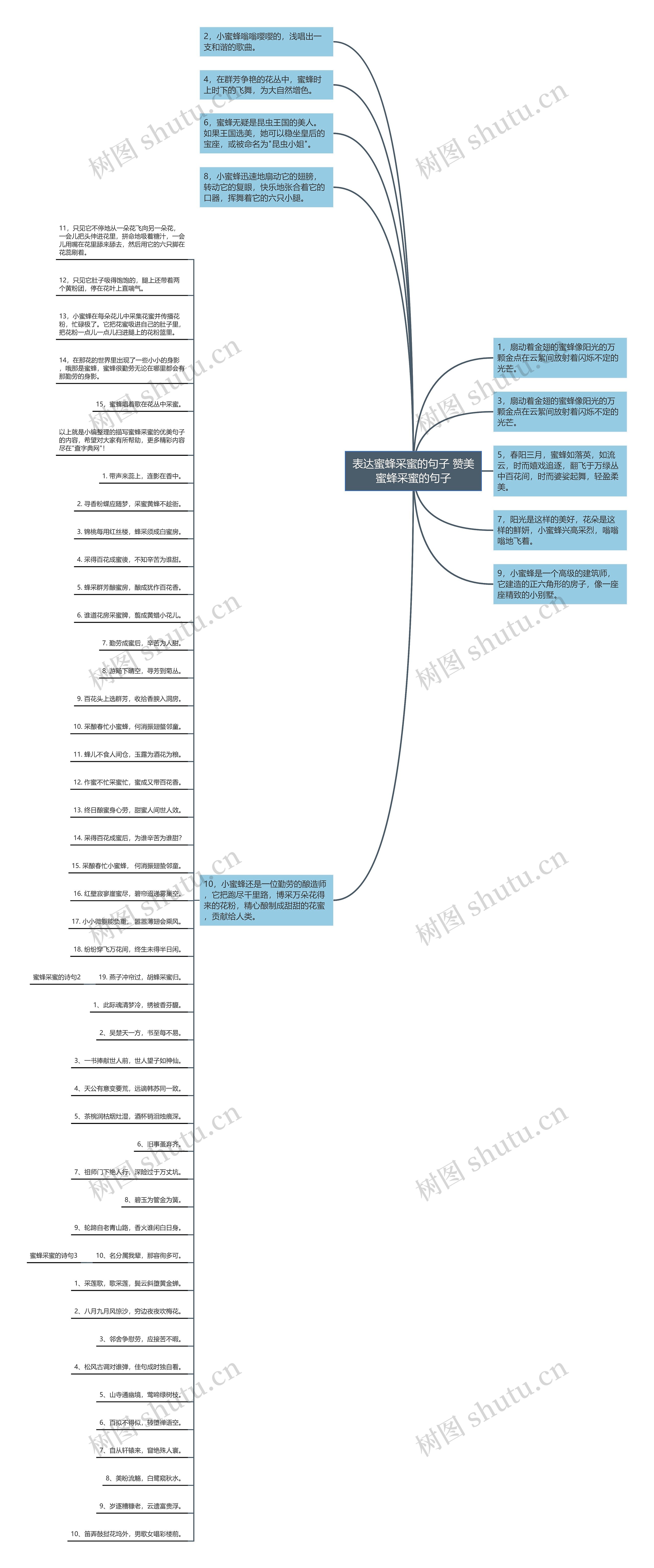 表达蜜蜂采蜜的句子 赞美蜜蜂采蜜的句子思维导图