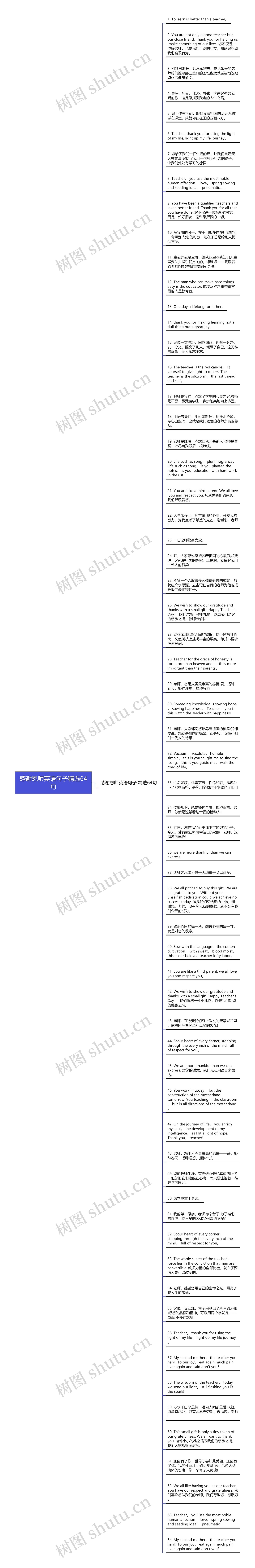 感谢恩师英语句子精选64句