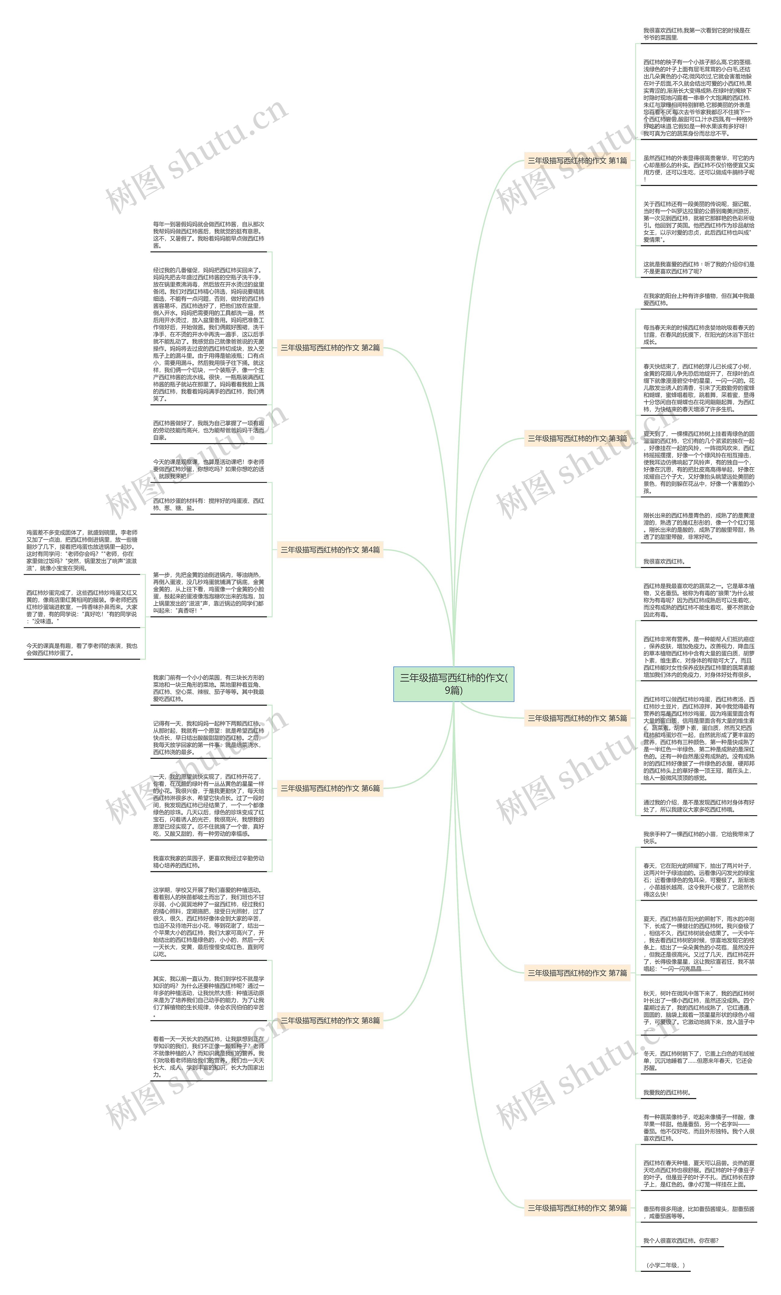 三年级描写西红柿的作文(9篇)思维导图