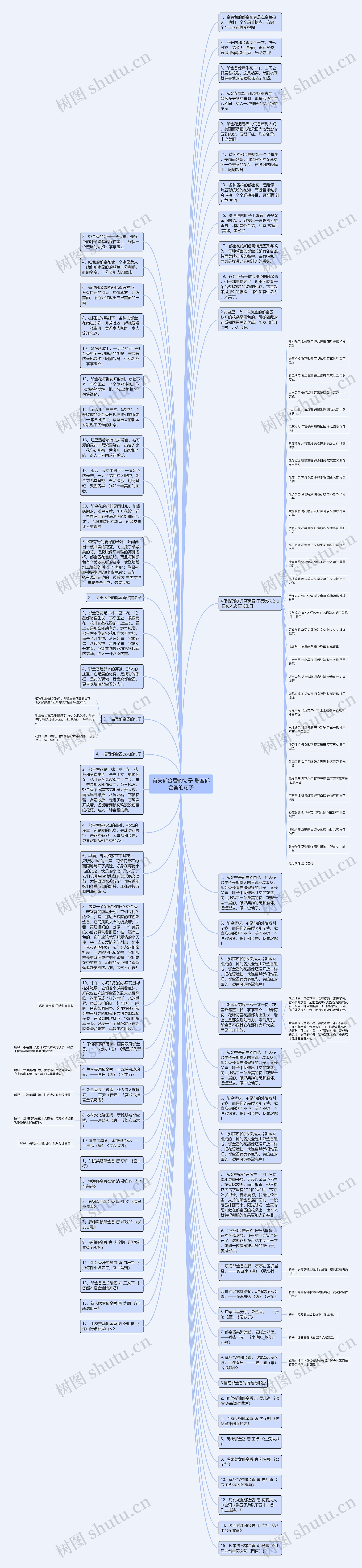 有关郁金香的句子 形容郁金香的句子思维导图