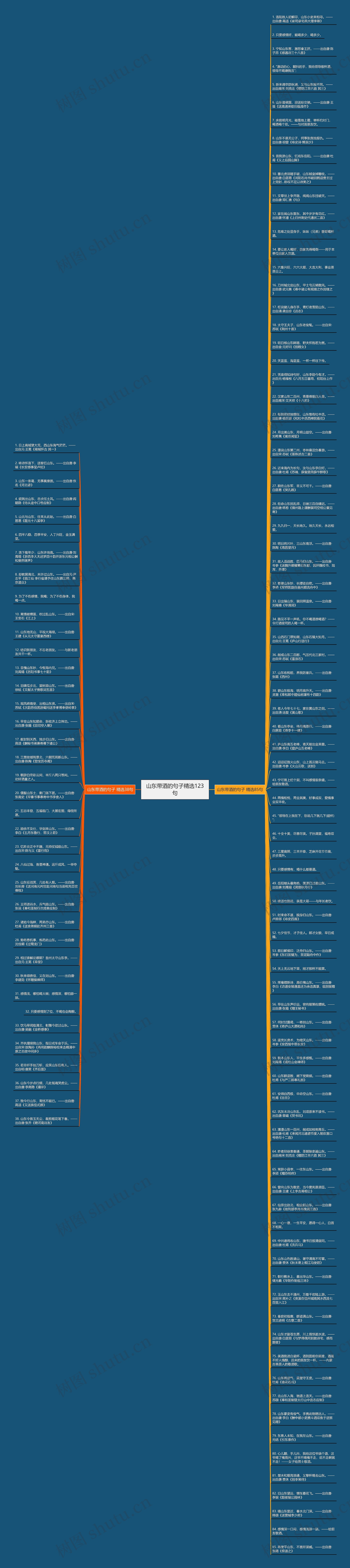 山东带酒的句子精选123句思维导图