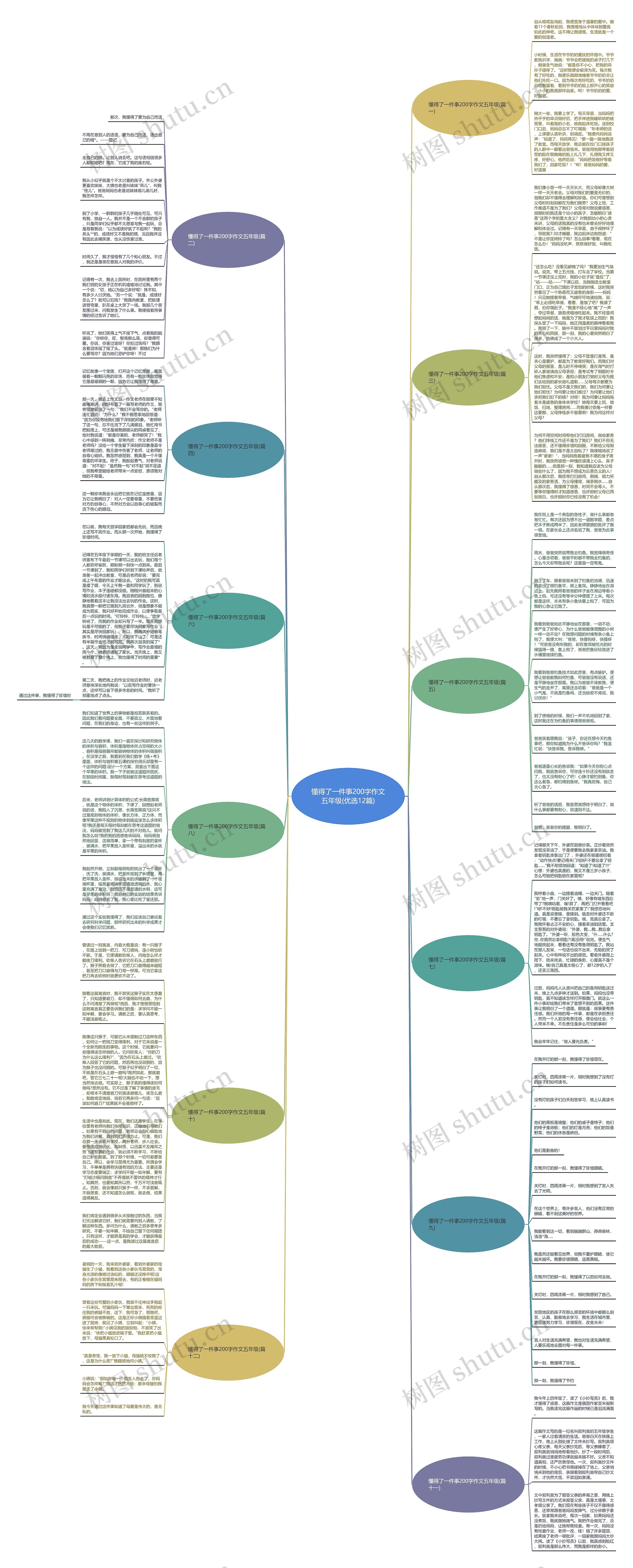 懂得了一件事200字作文五年级(优选12篇)思维导图