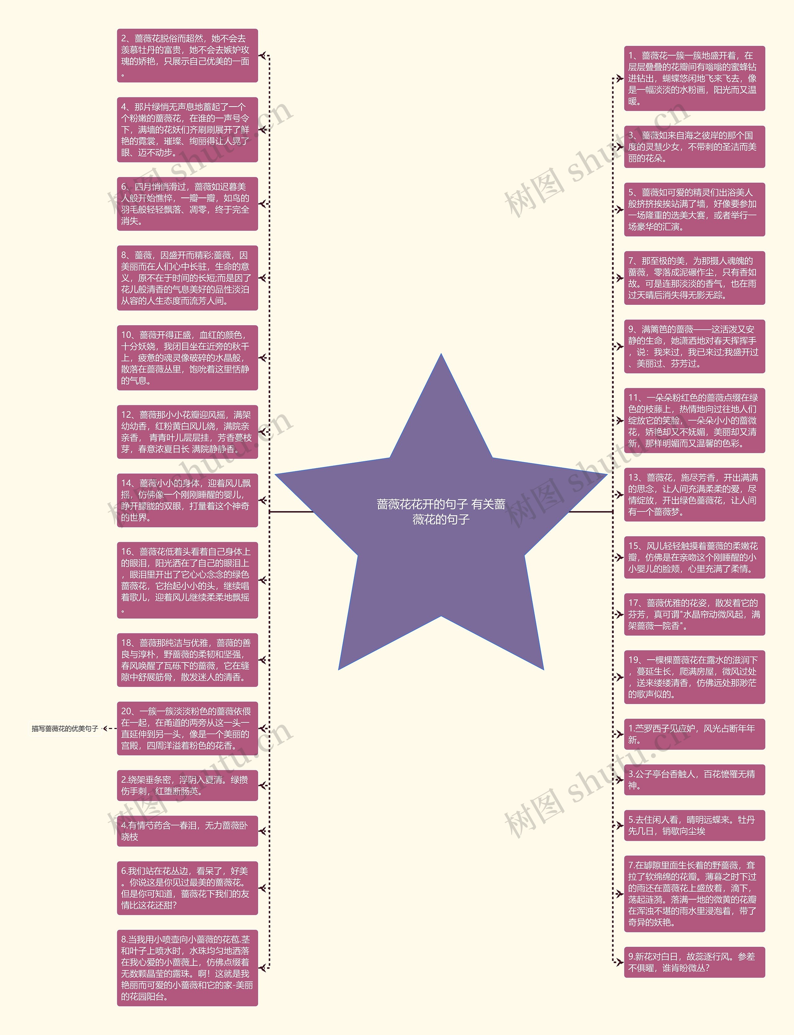 蔷薇花花开的句子 有关蔷薇花的句子思维导图