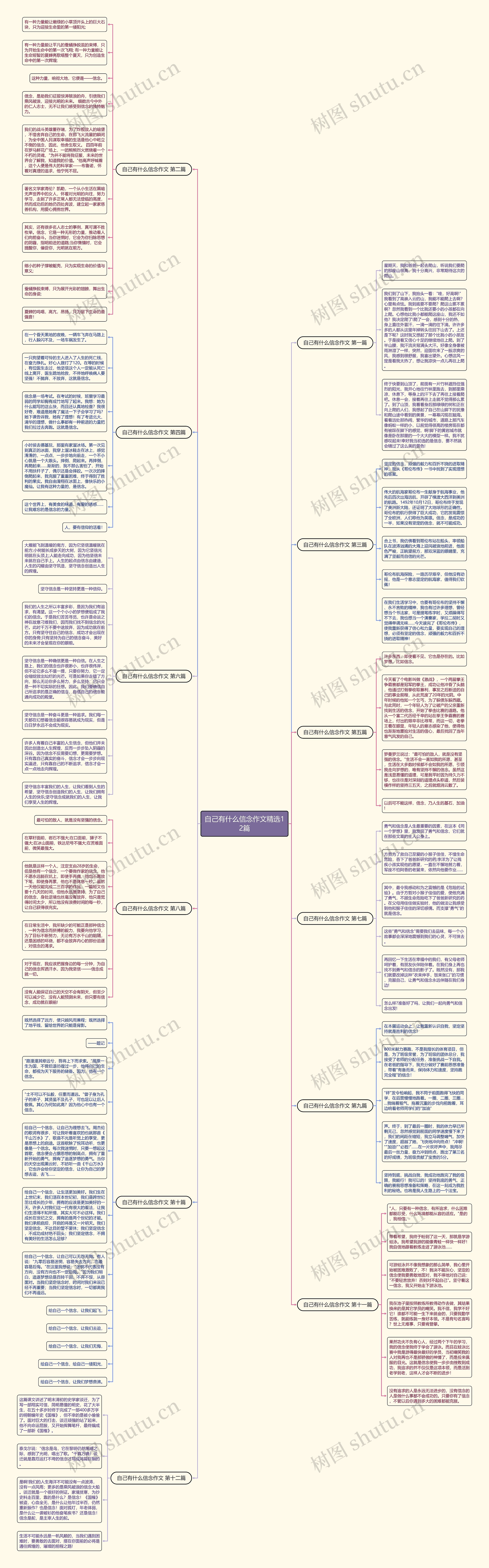 自己有什么信念作文精选12篇思维导图